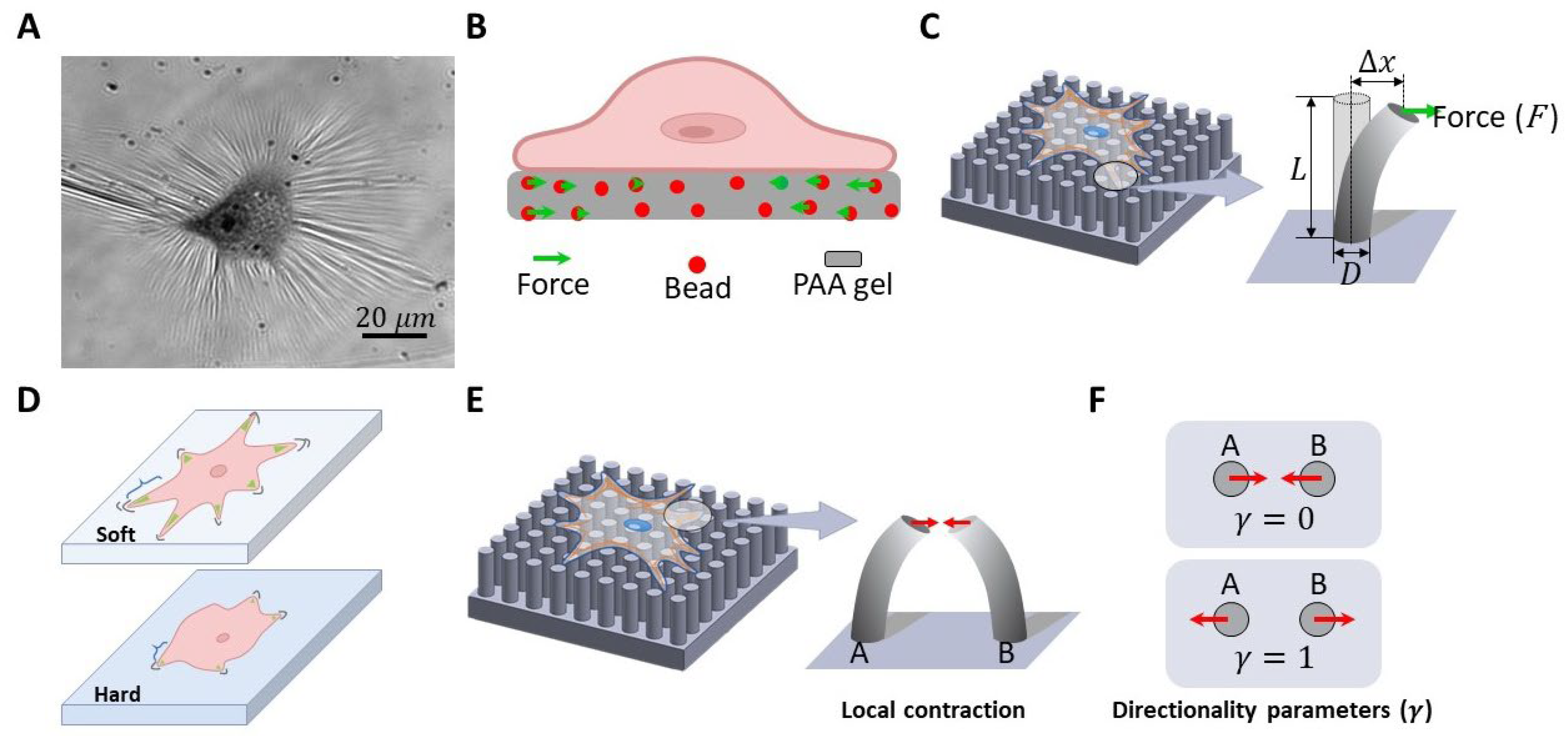 Nanomaterials 13 01682 g003
