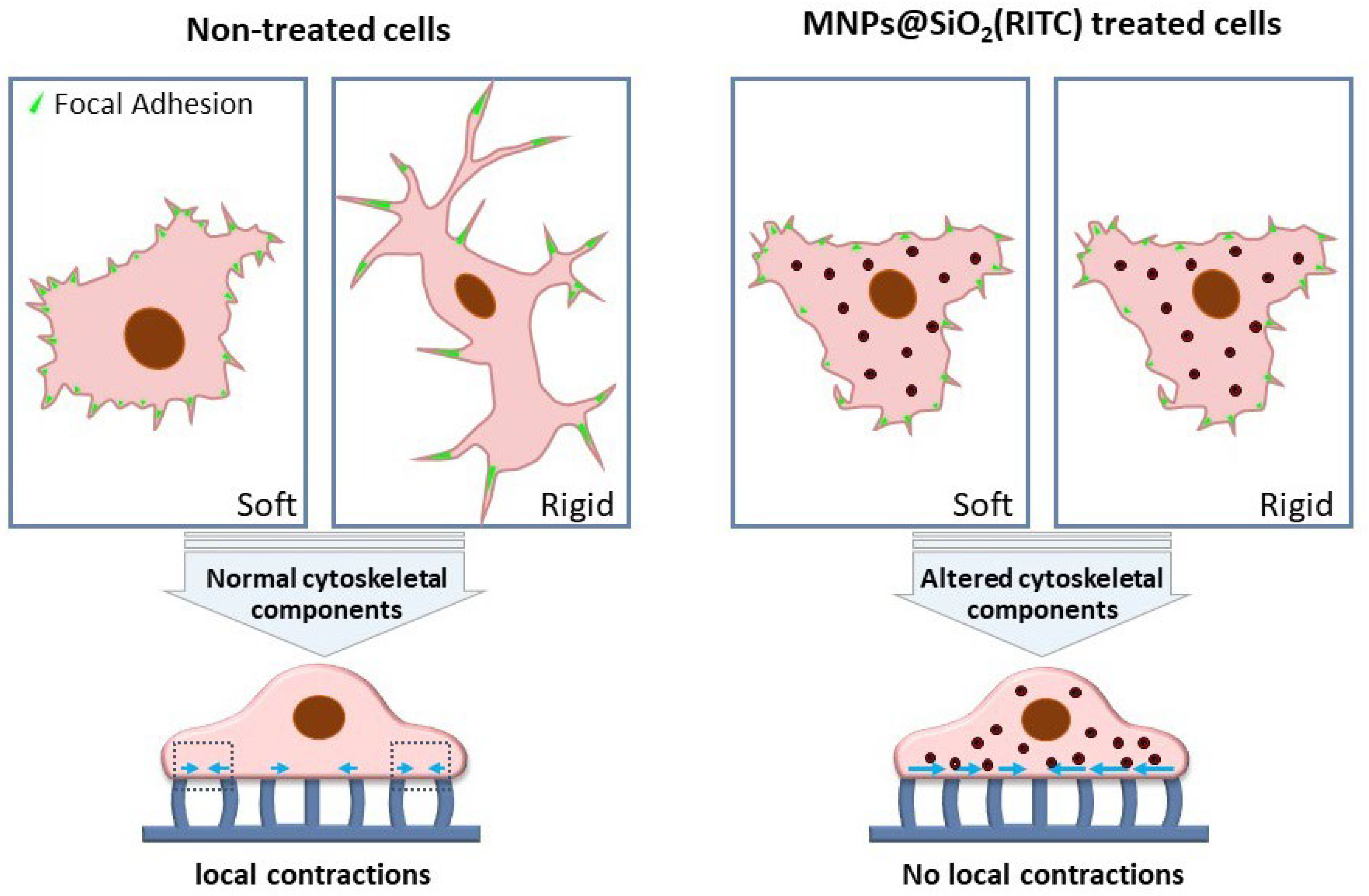 Nanomaterials 13 01682 g004