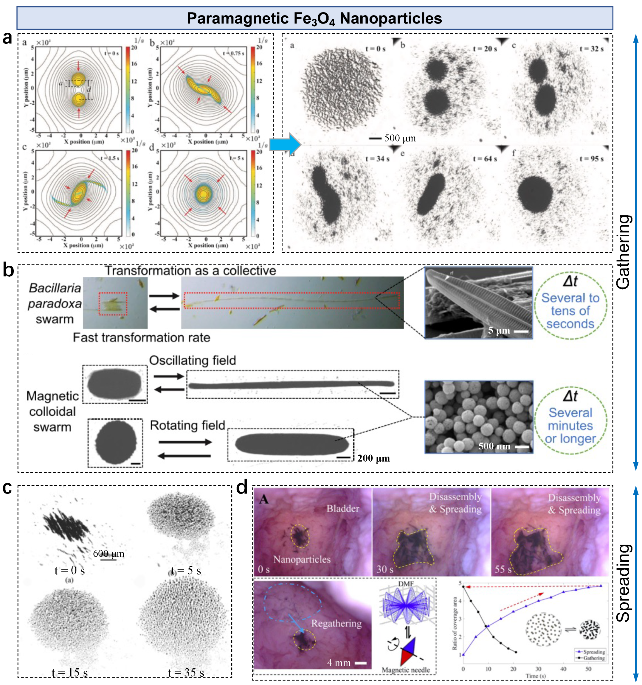 Nanomaterials 13 01687 g002
