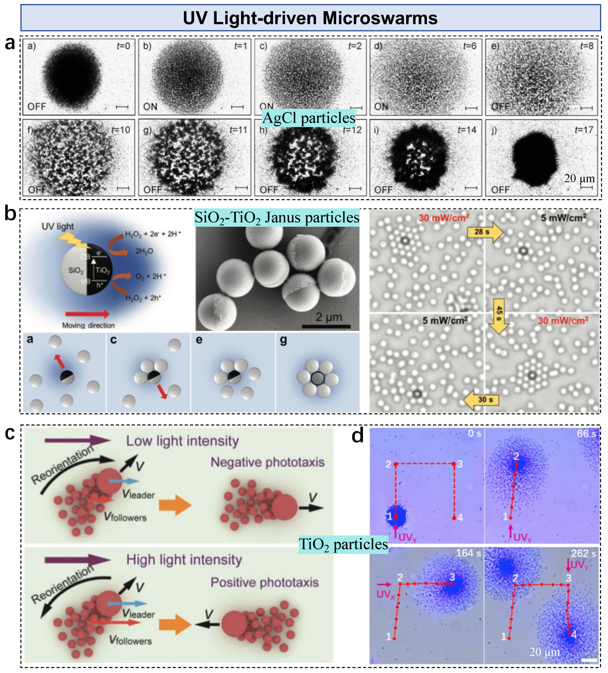 Nanomaterials 13 01687 g005