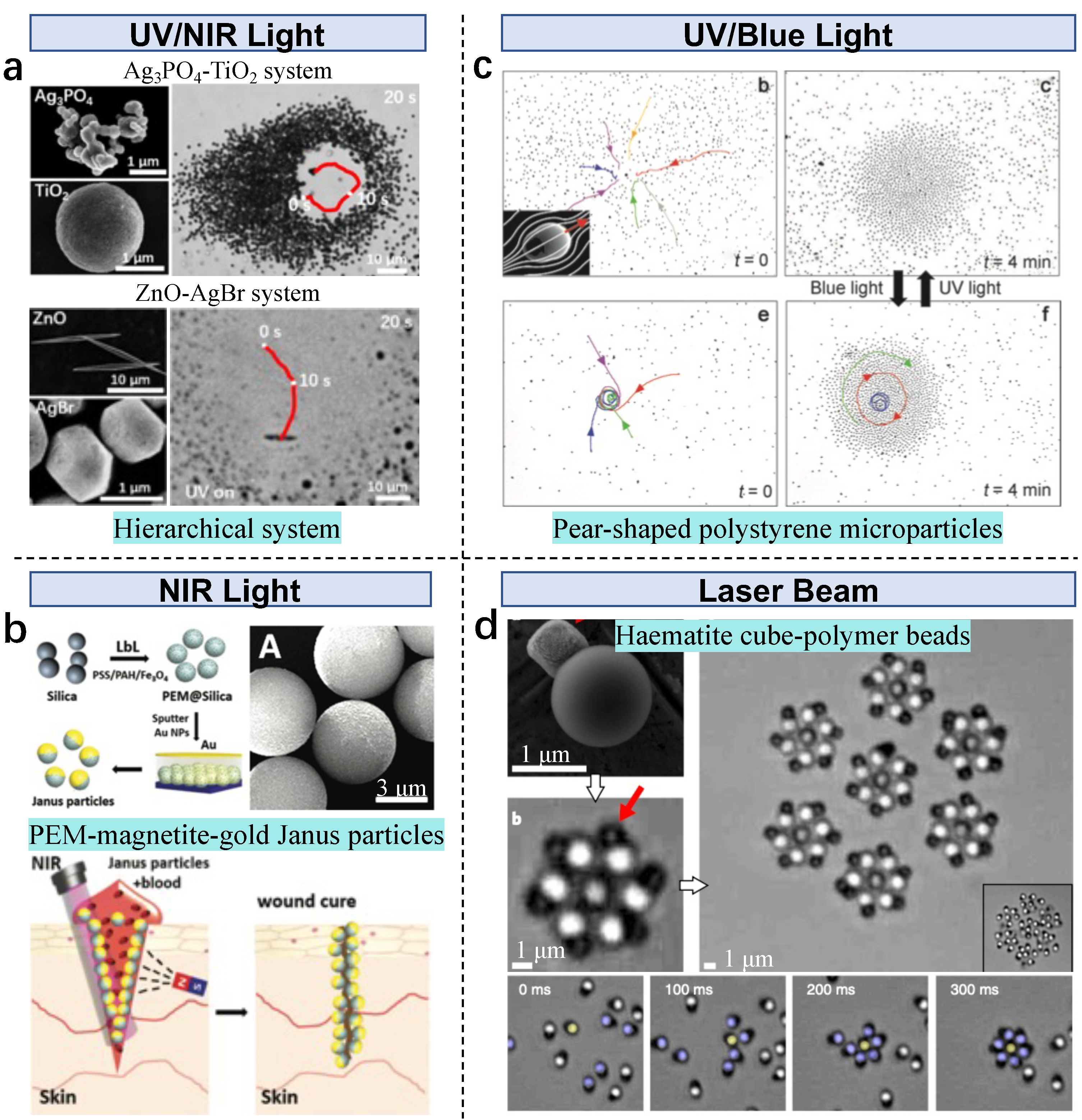 Nanomaterials 13 01687 g006