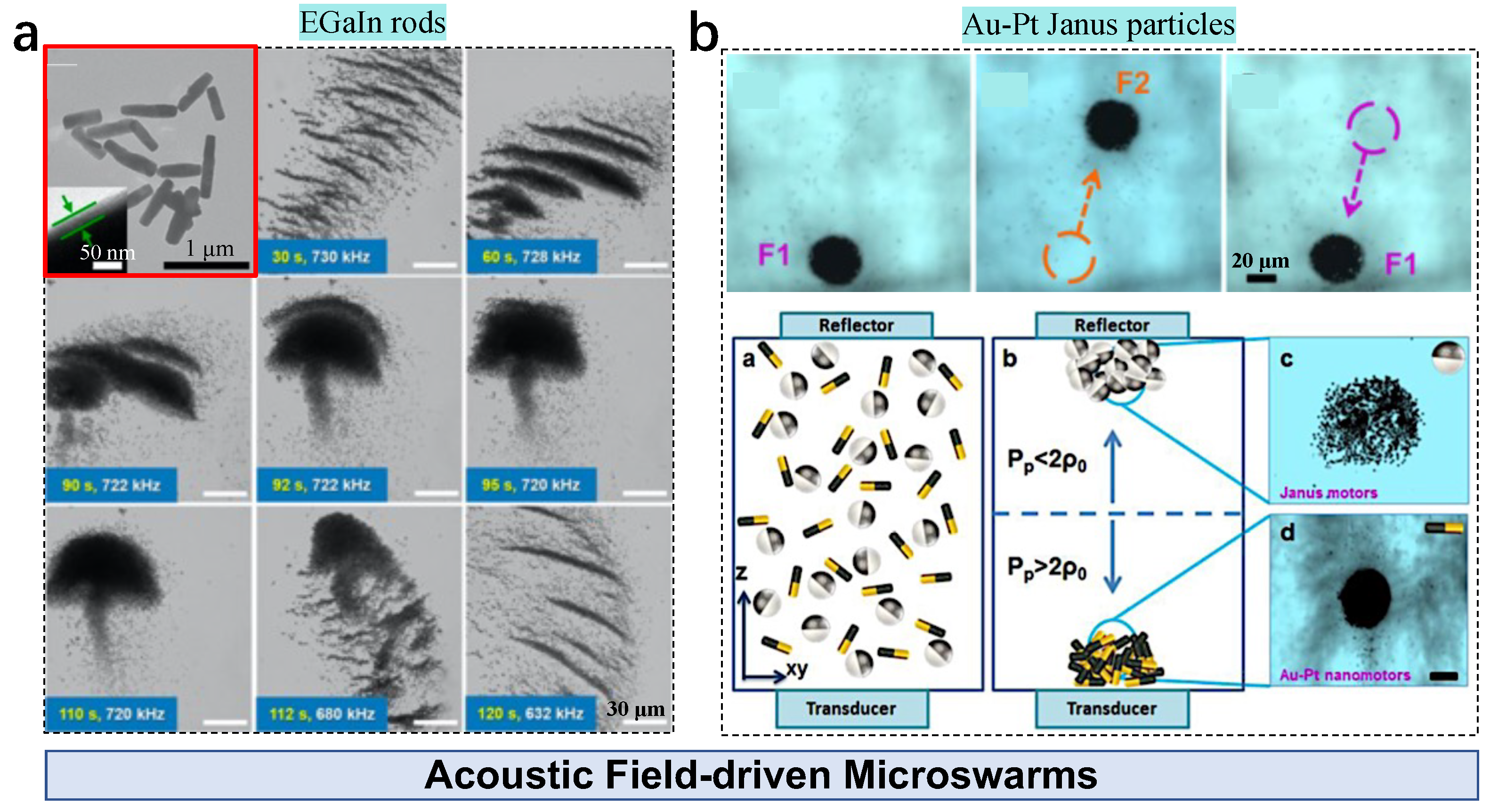 Nanomaterials 13 01687 g007