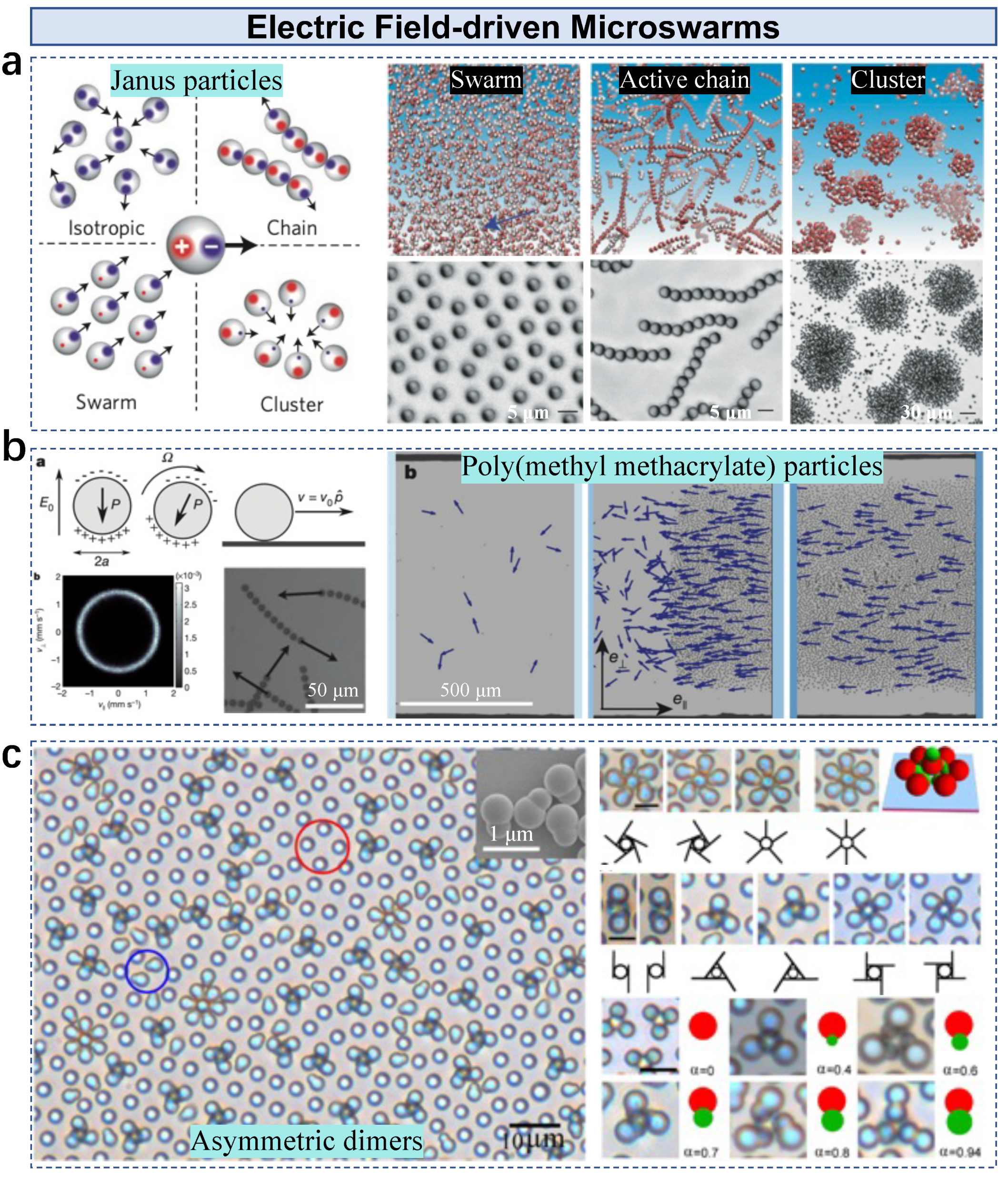 Nanomaterials 13 01687 g008