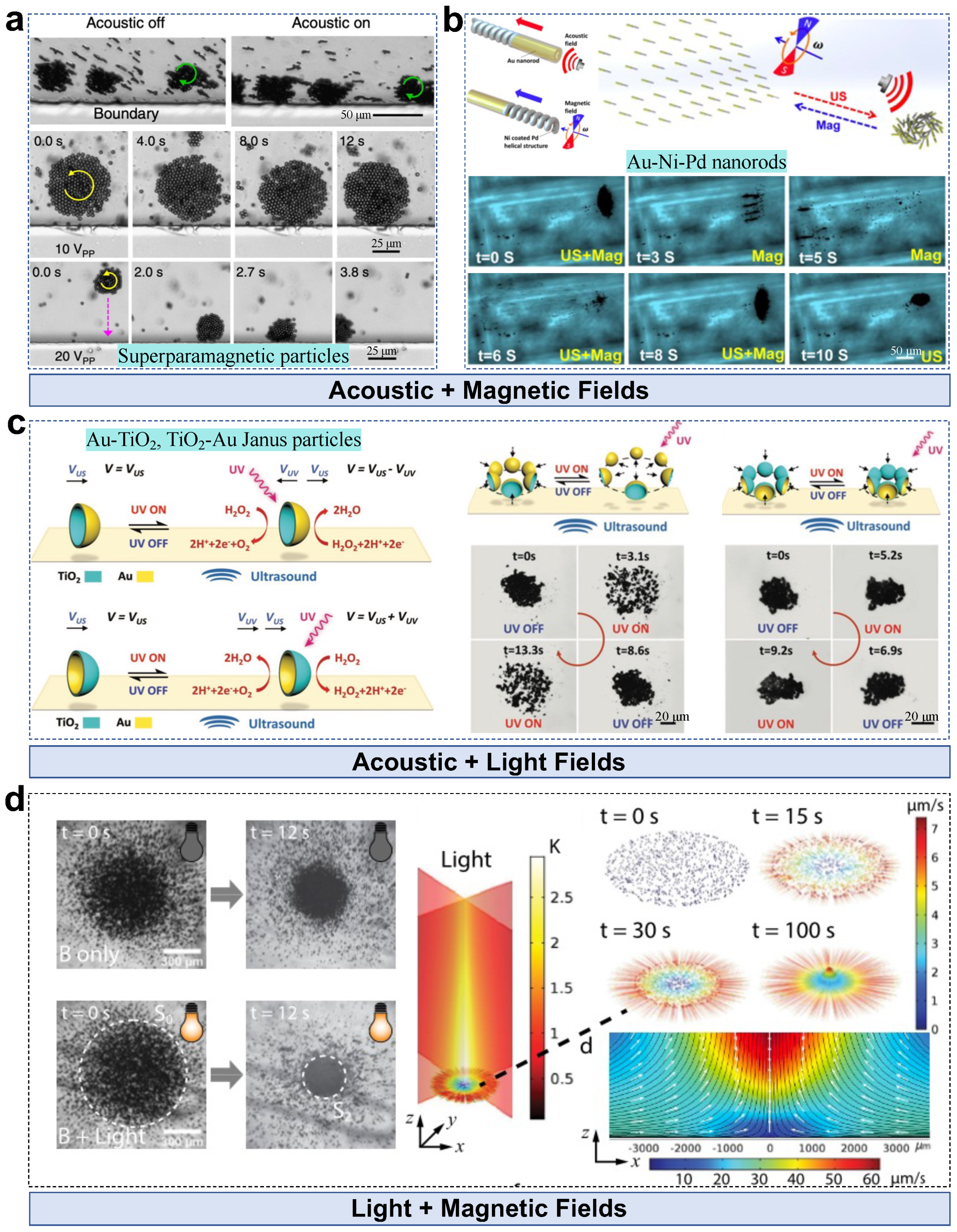 Nanomaterials 13 01687 g009