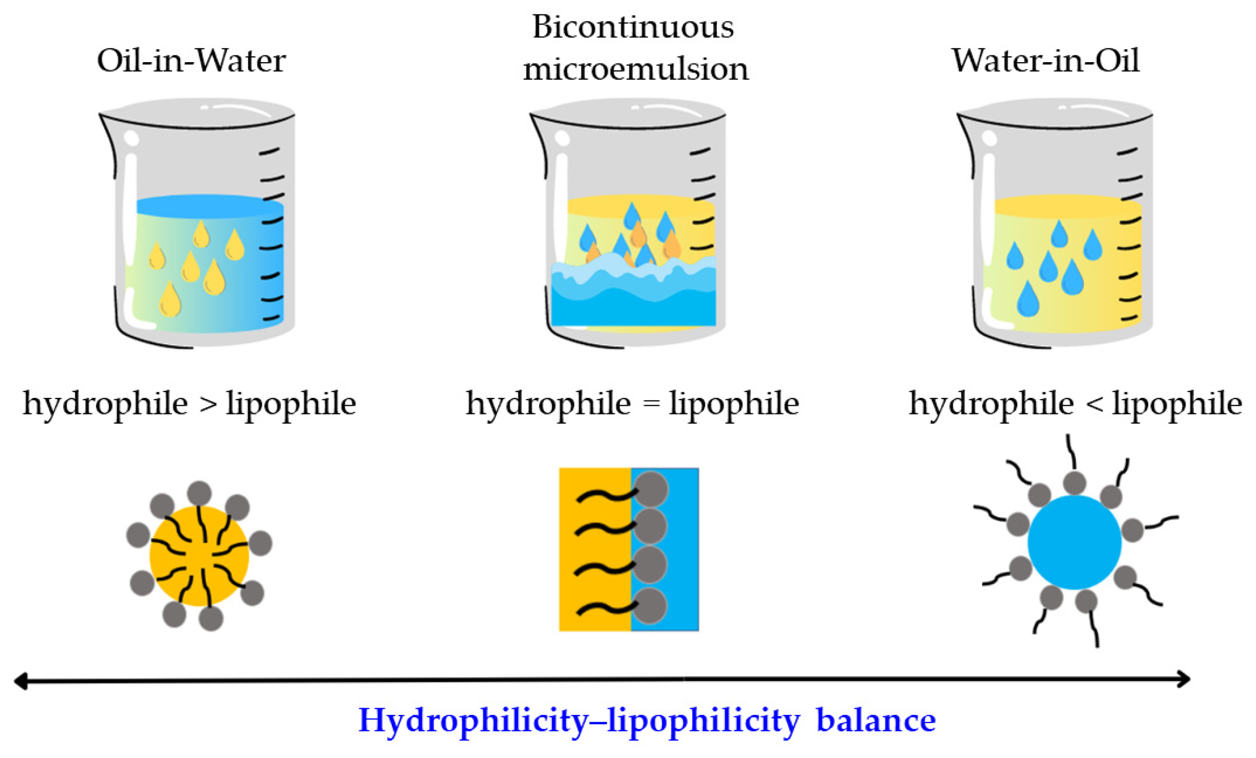Nanomaterials 13 01688 g001