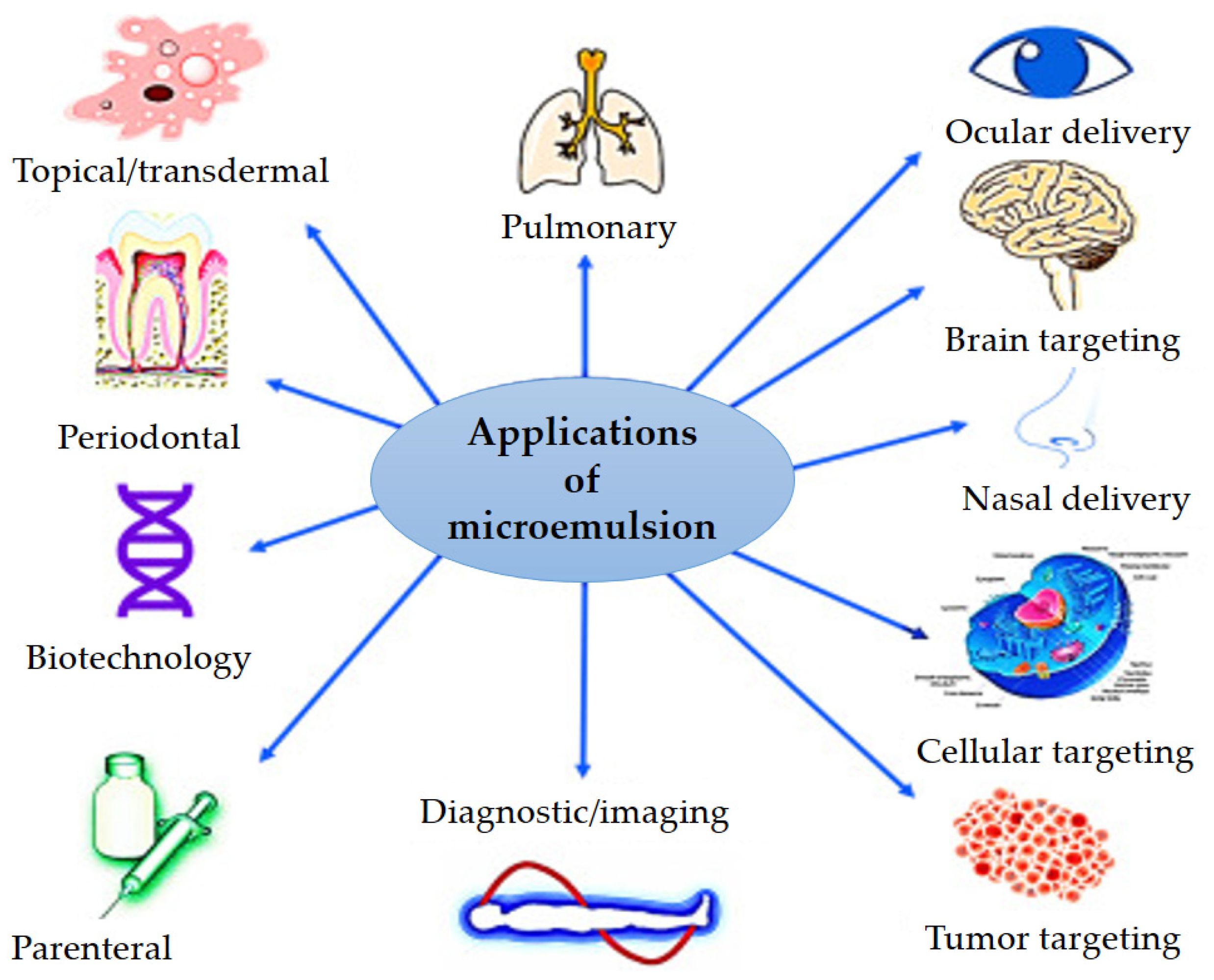 Nanomaterials 13 01688 g005