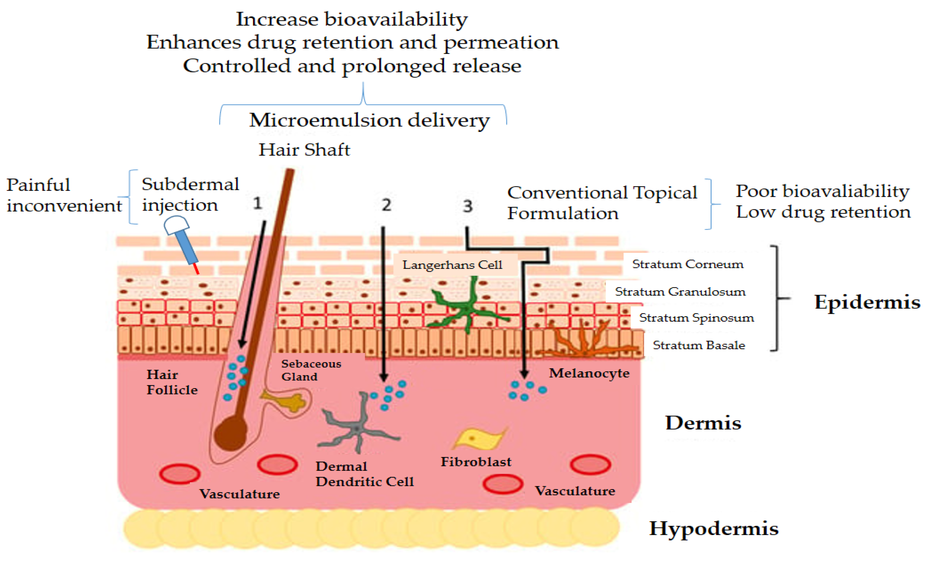 Nanomaterials 13 01688 g006