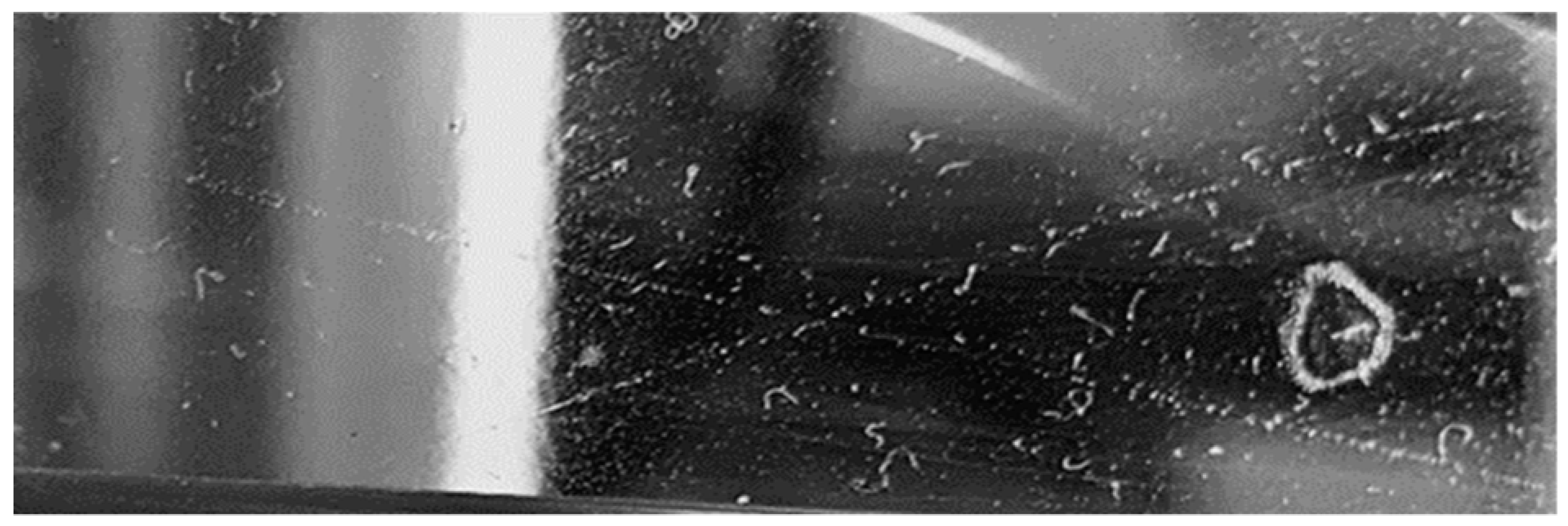 Nanomaterials 13 01699 i001