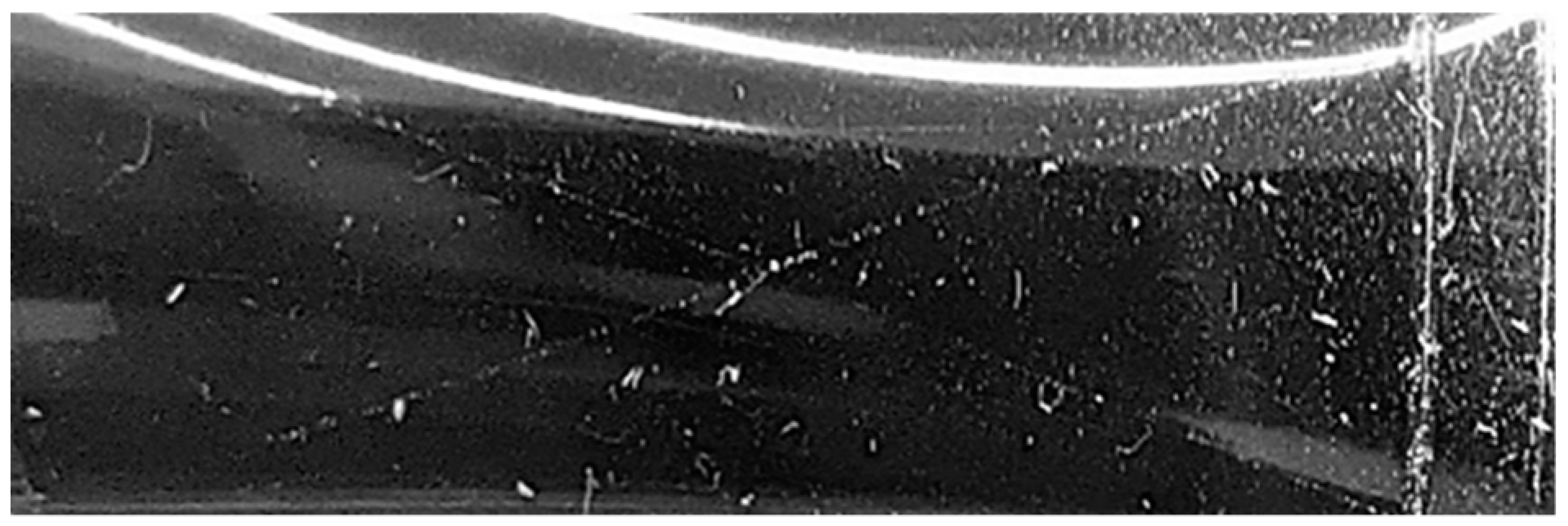 Nanomaterials 13 01699 i002