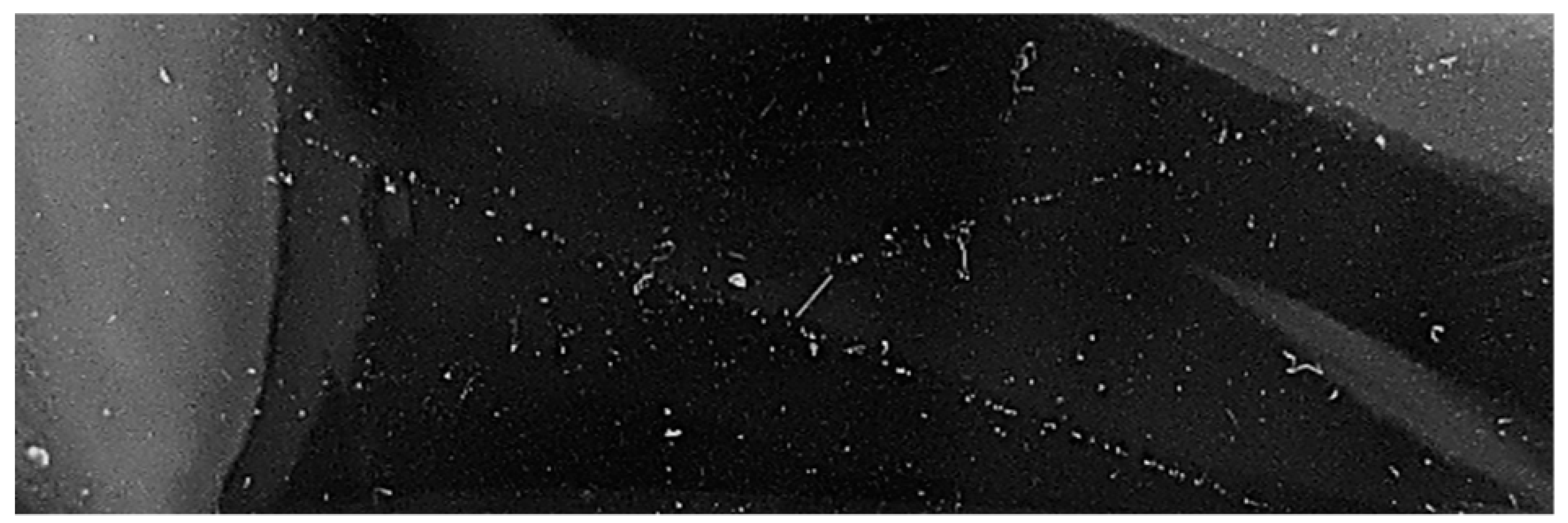 Nanomaterials 13 01699 i003