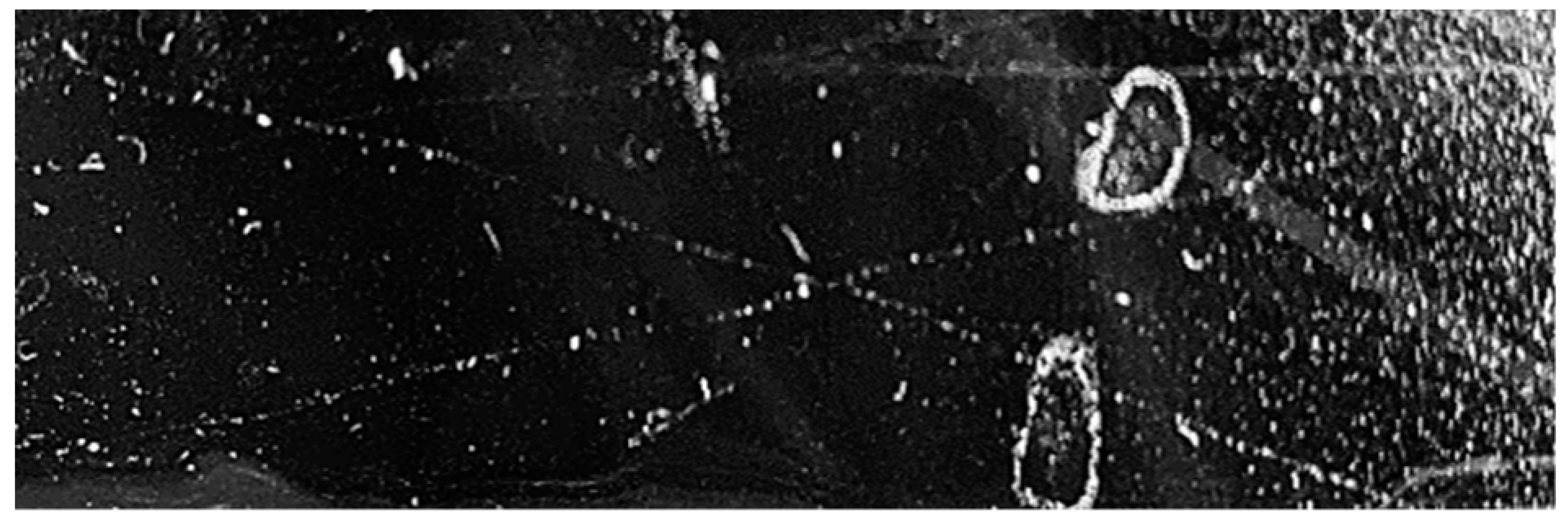 Nanomaterials 13 01699 i004