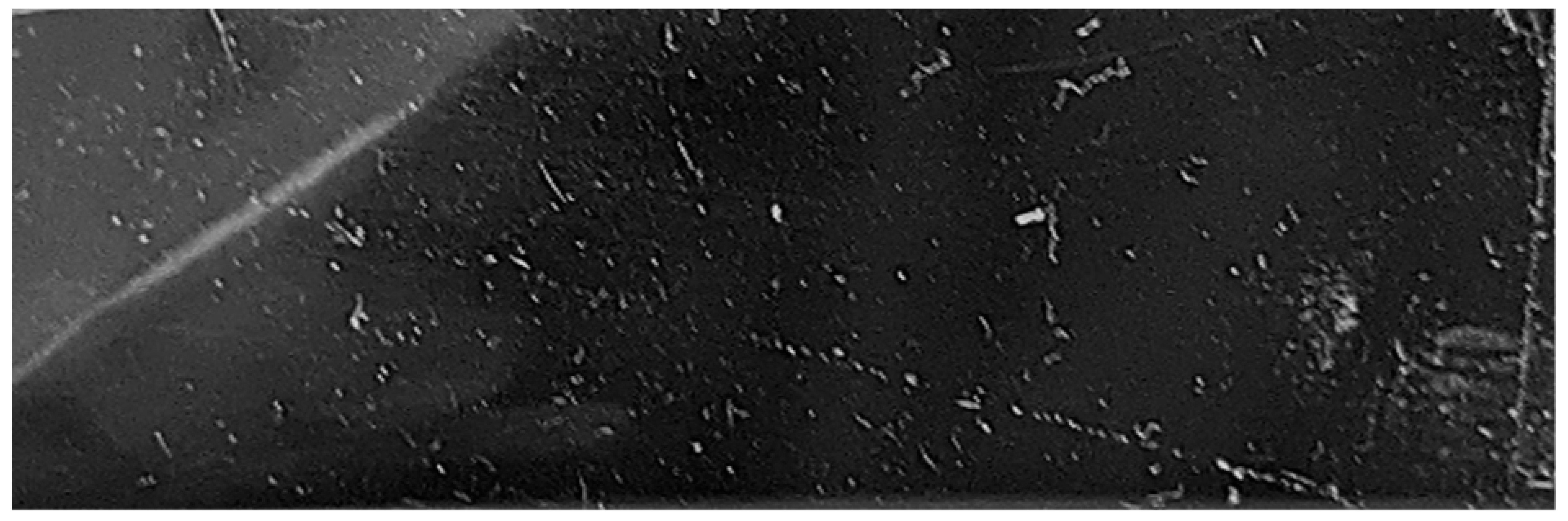 Nanomaterials 13 01699 i005