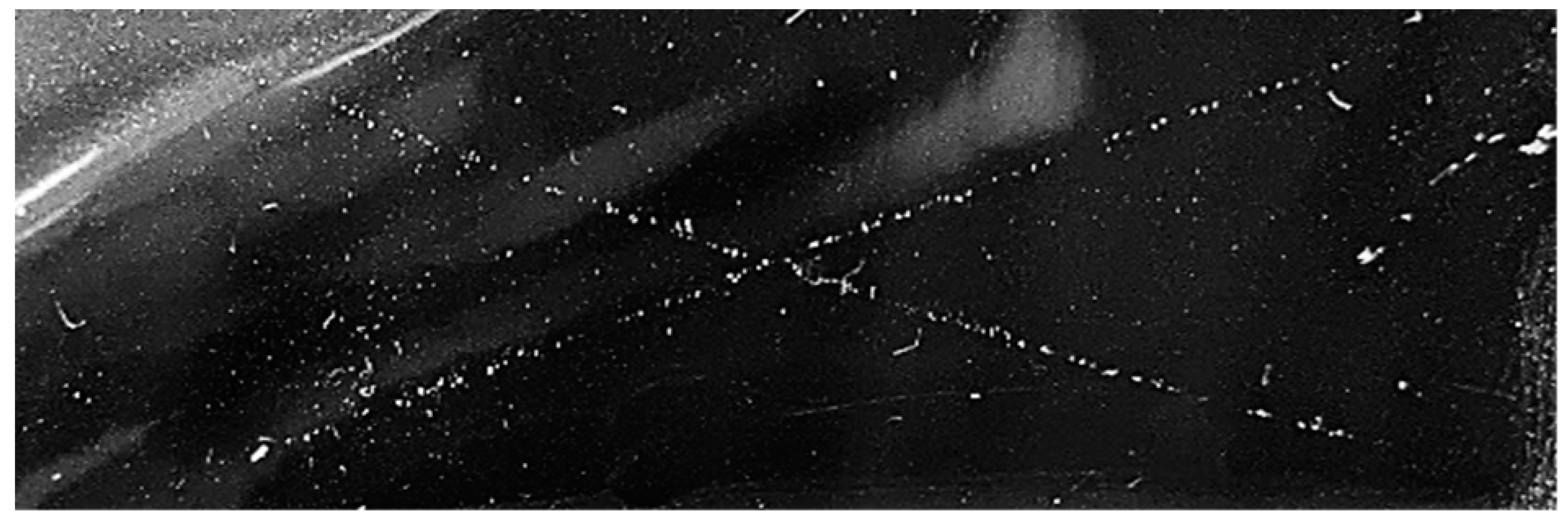 Nanomaterials 13 01699 i006