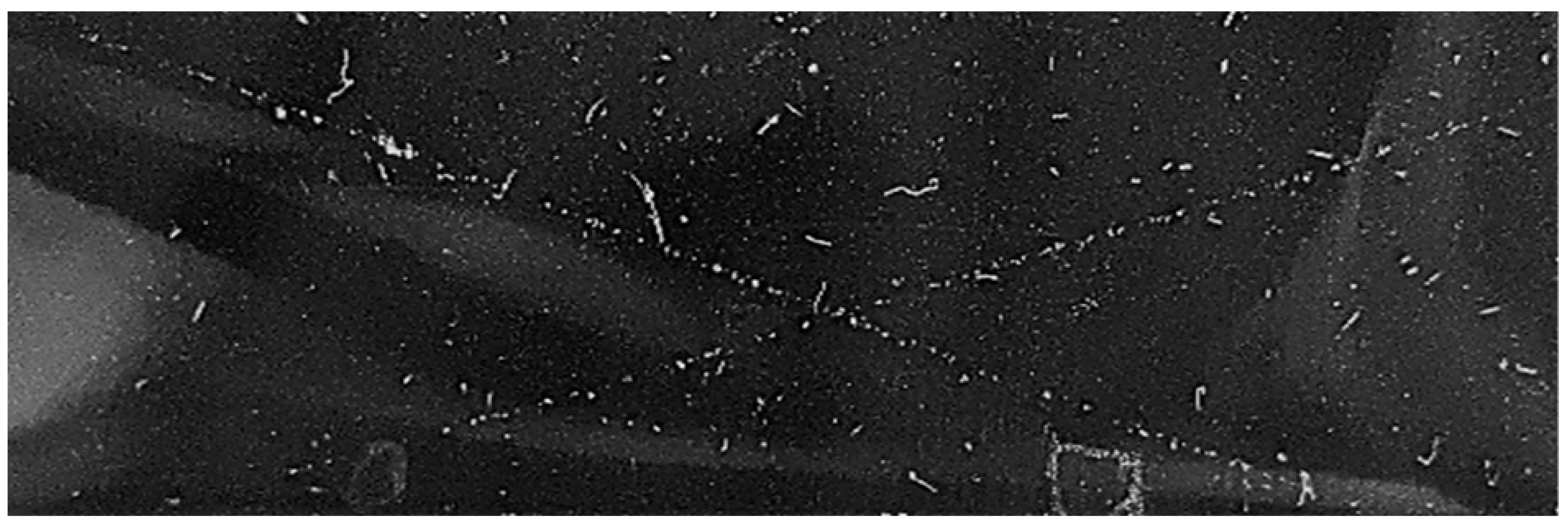 Nanomaterials 13 01699 i007