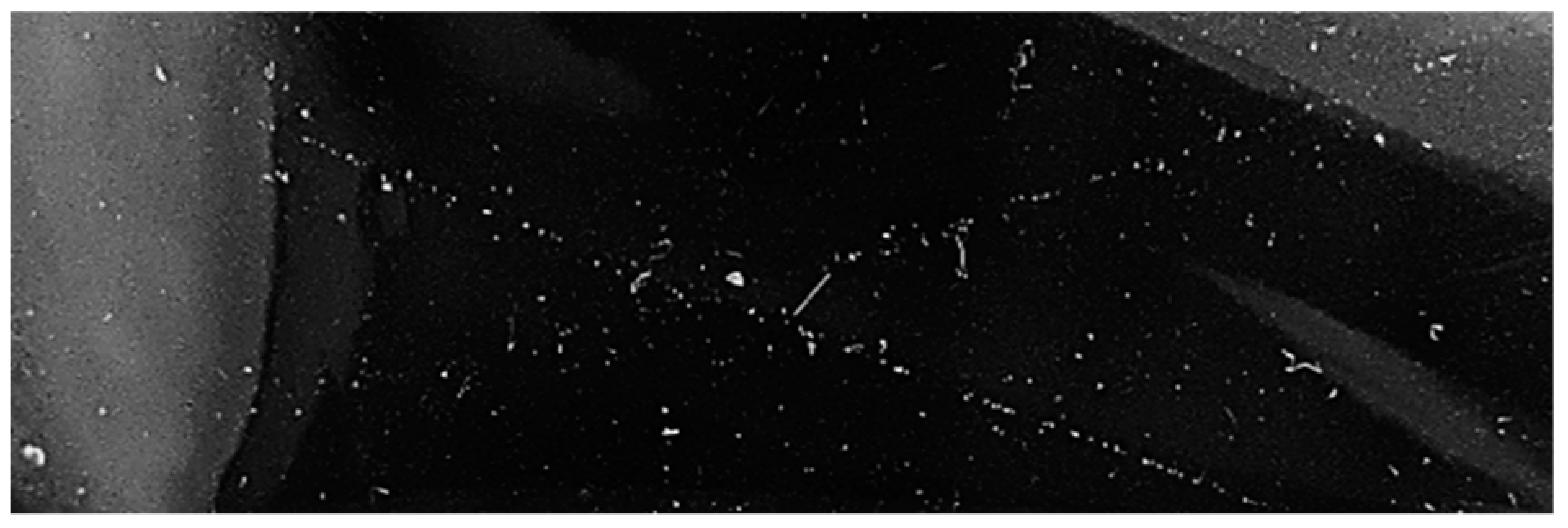 Nanomaterials 13 01699 i009