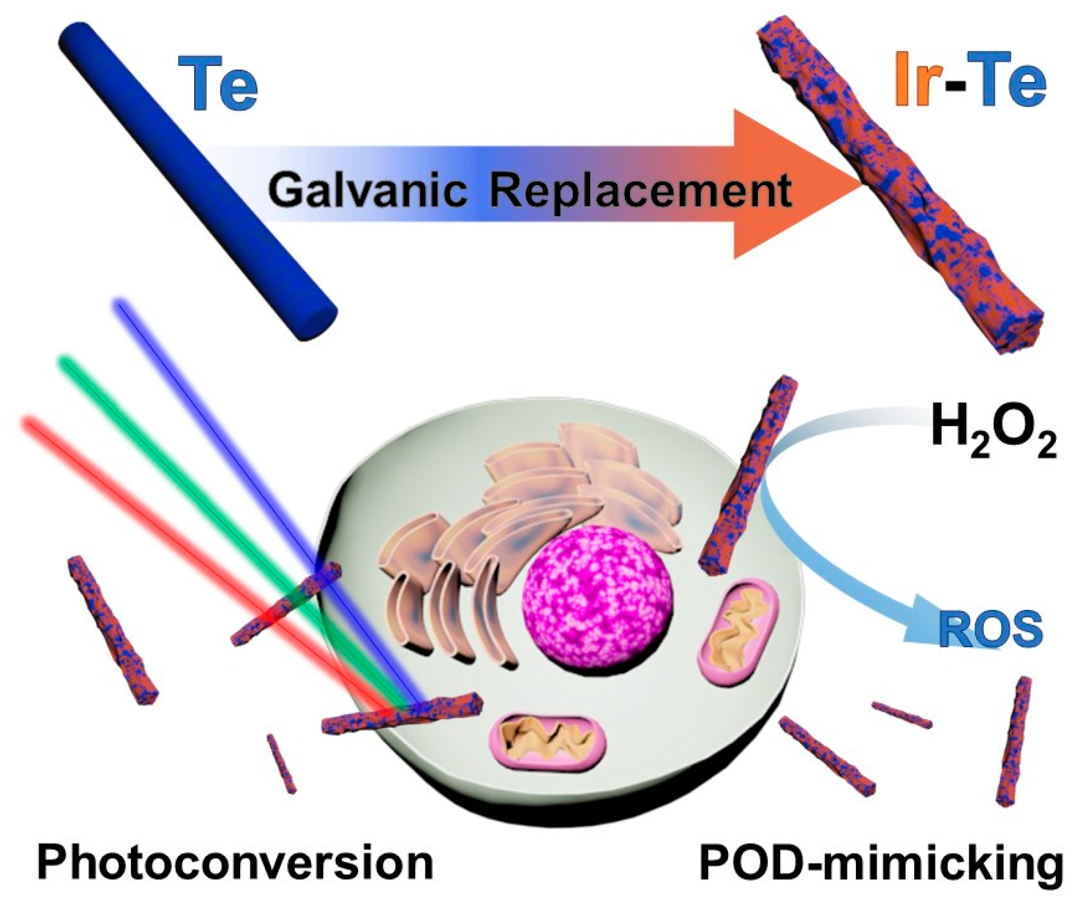 Nanomaterials 13 01706 g001