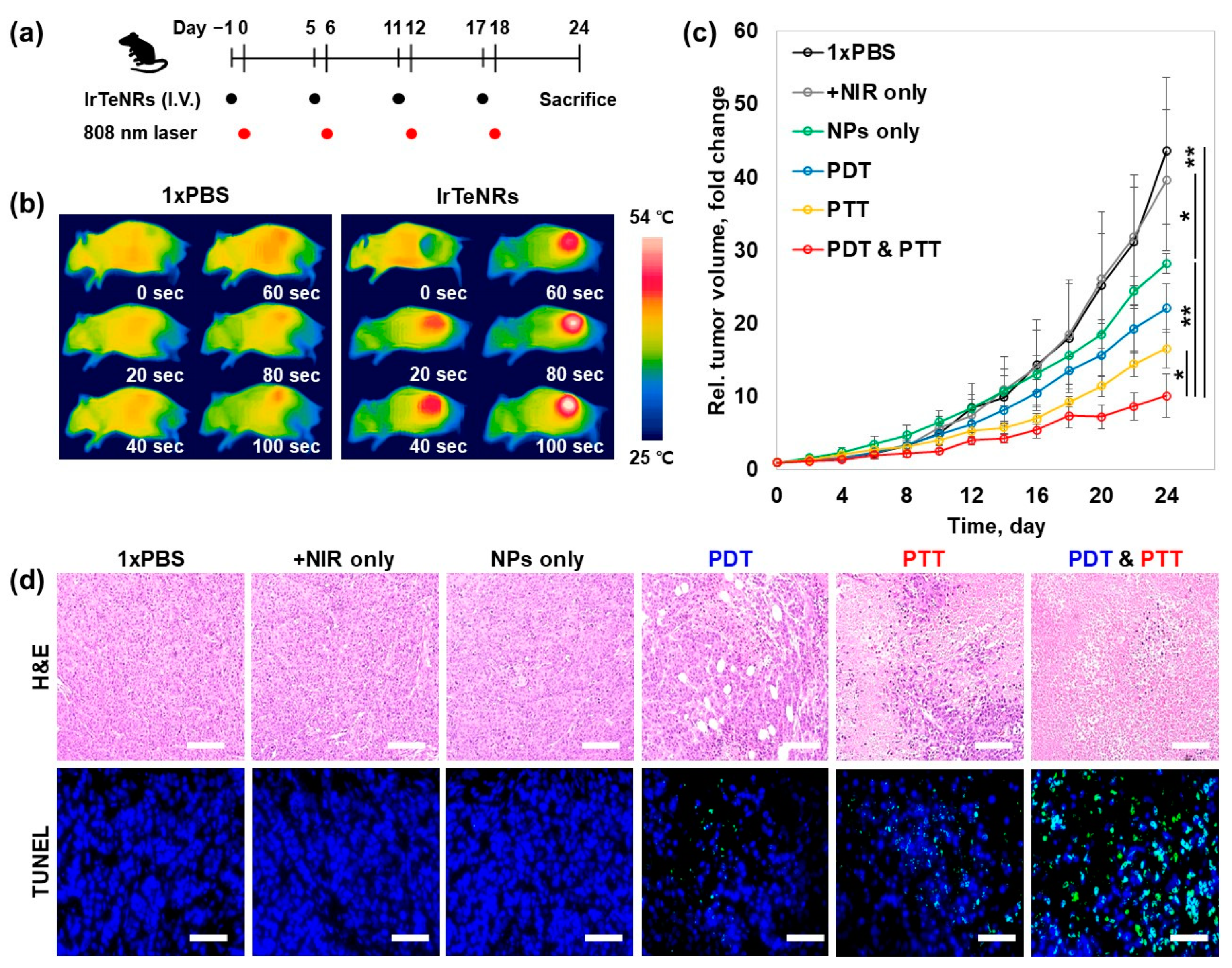 Nanomaterials 13 01706 g006