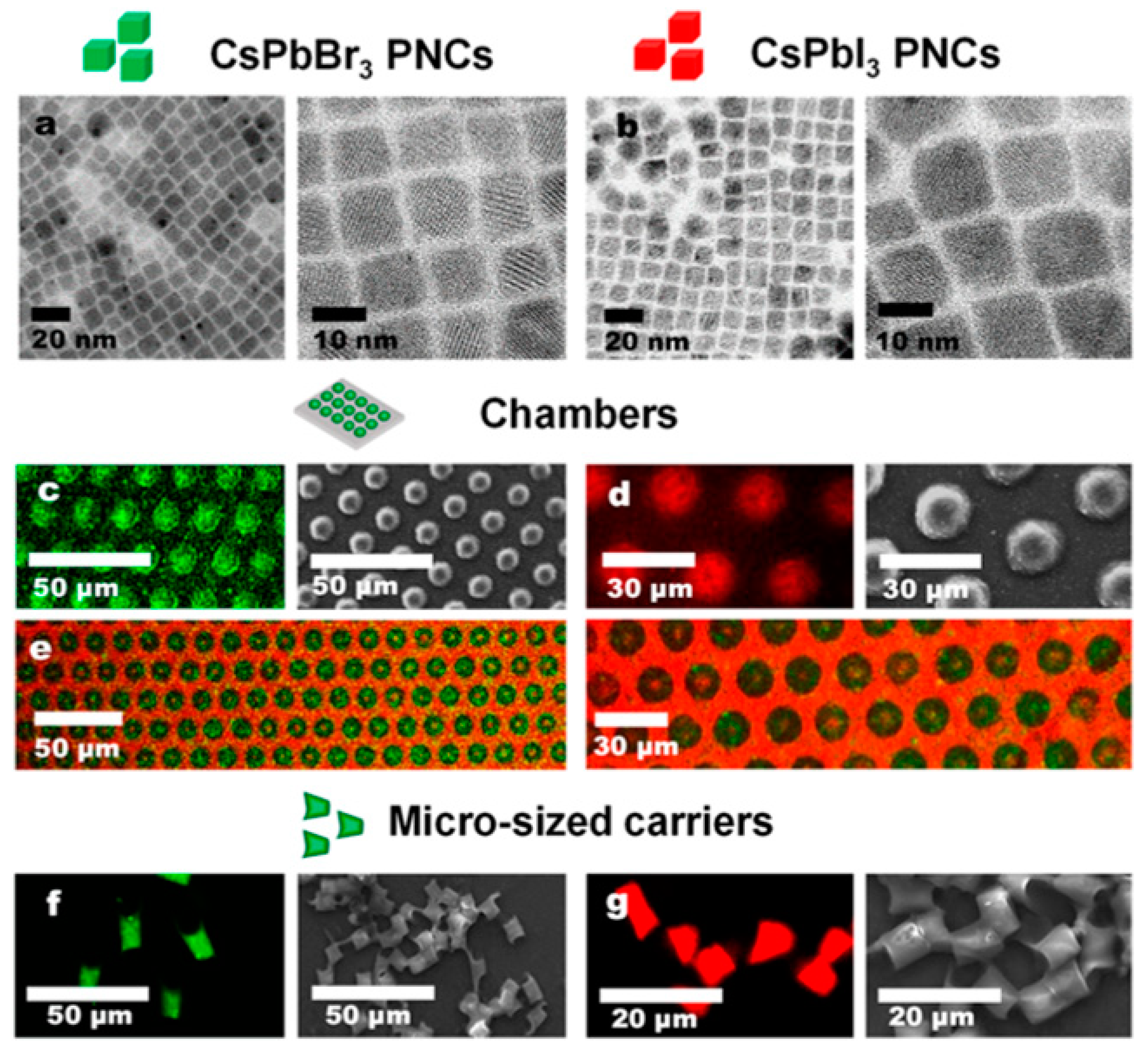 Nanomaterials 13 01707 g002a Nanomaterials 13 01707 g002a