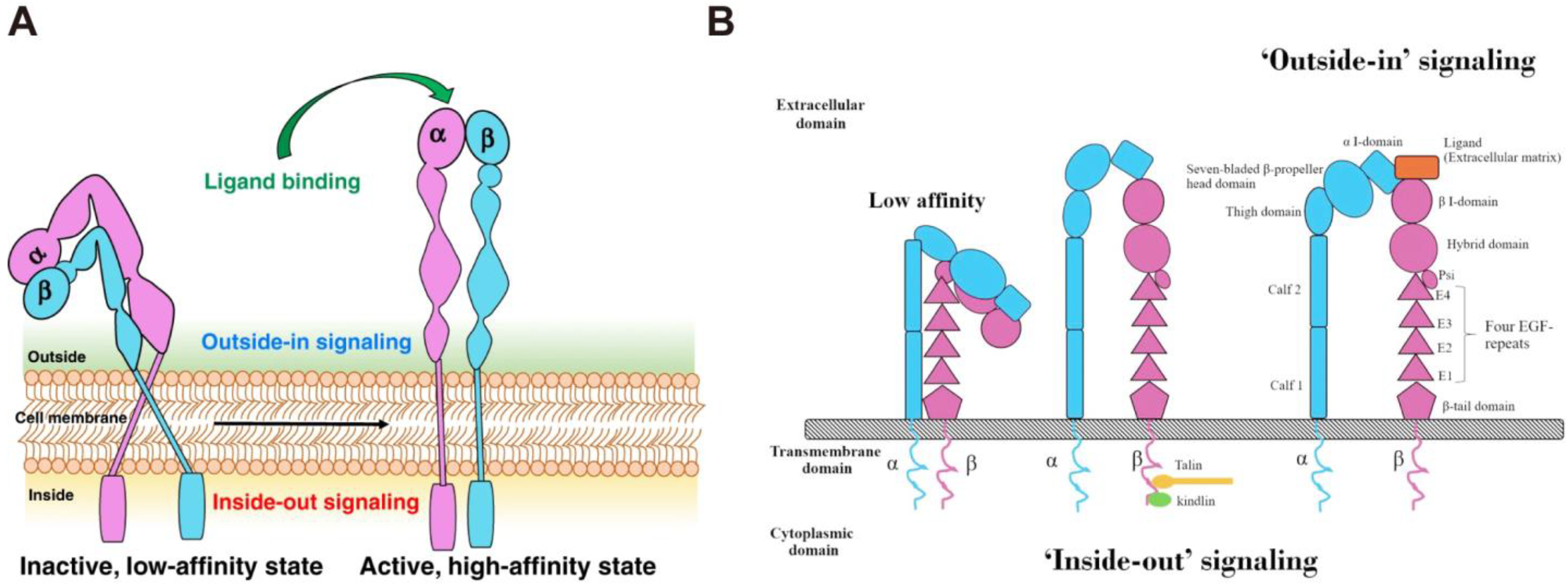 Nanomaterials 13 01721 g002