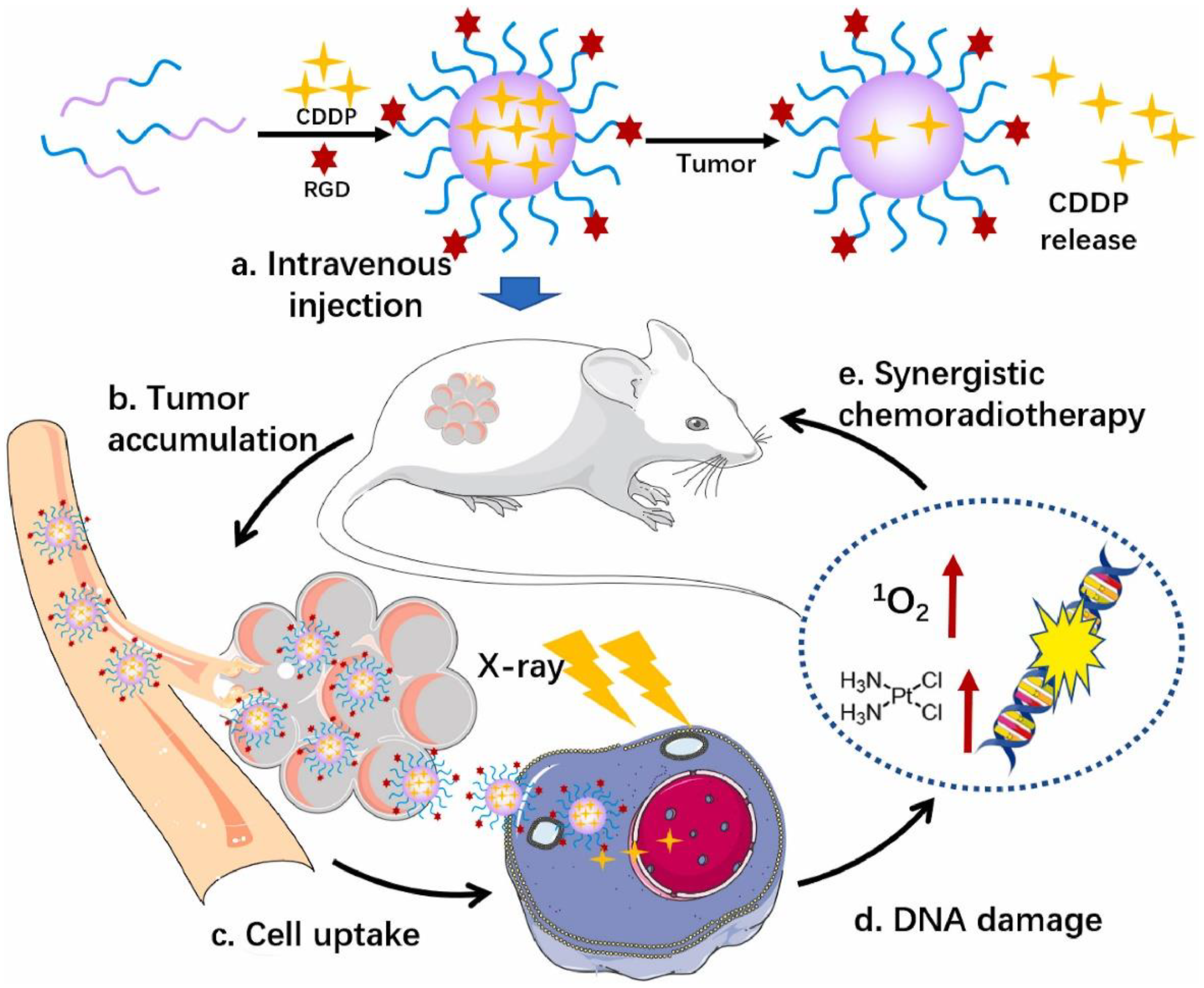 Nanomaterials 13 01721 g005