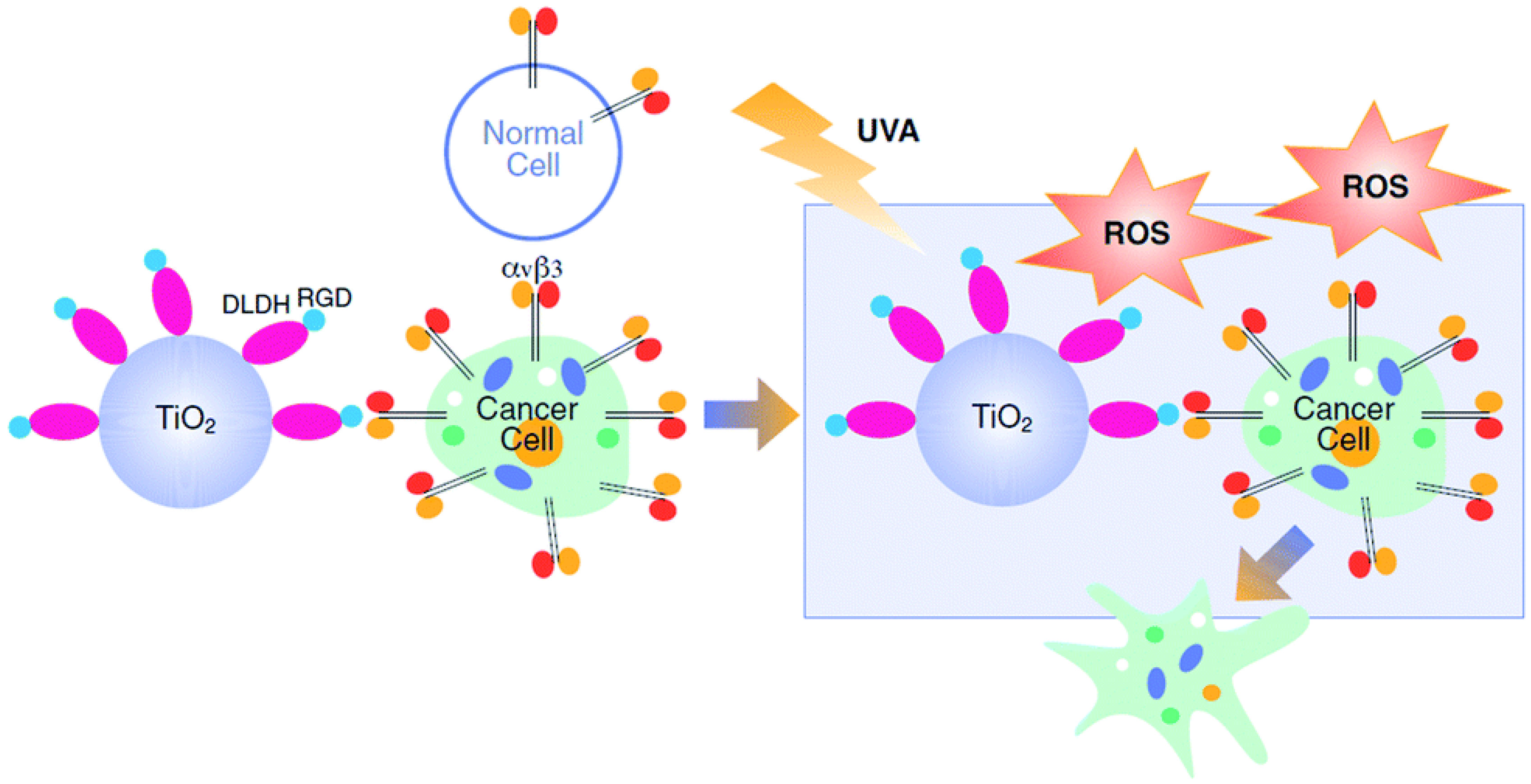 Nanomaterials 13 01721 g007
