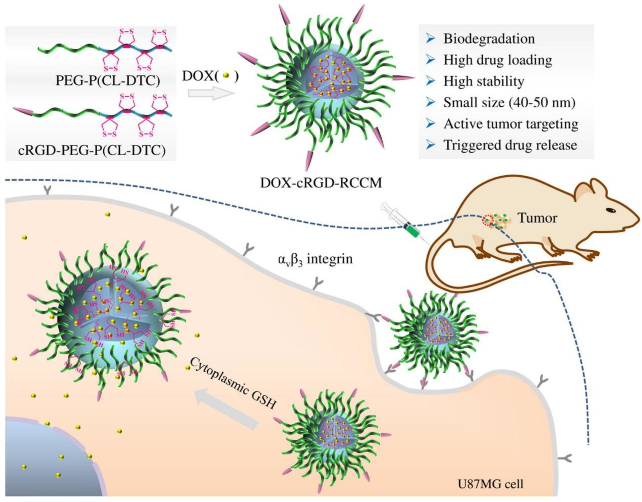 Nanomaterials 13 01721 g008