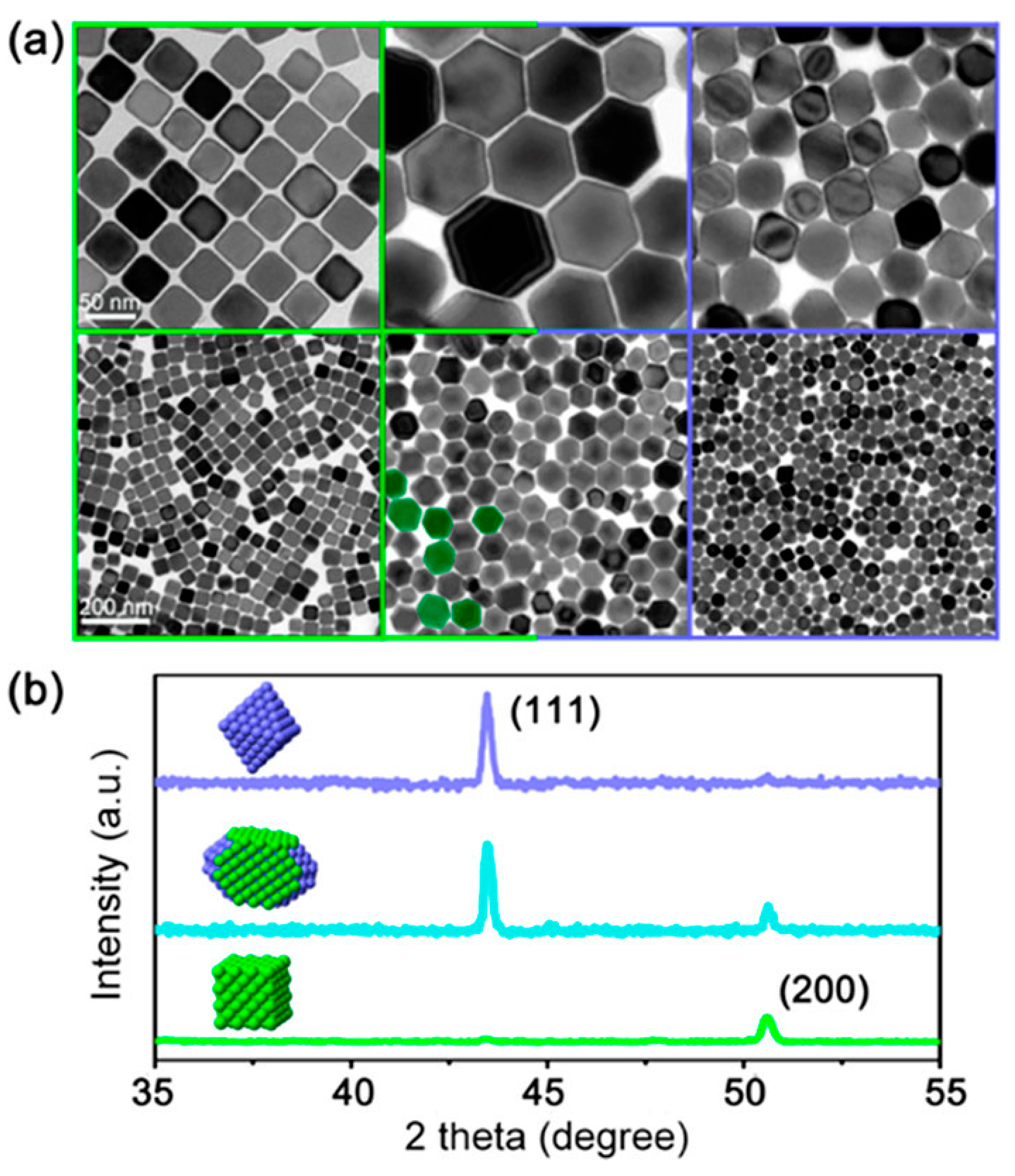 Nanomaterials 13 01723 g006