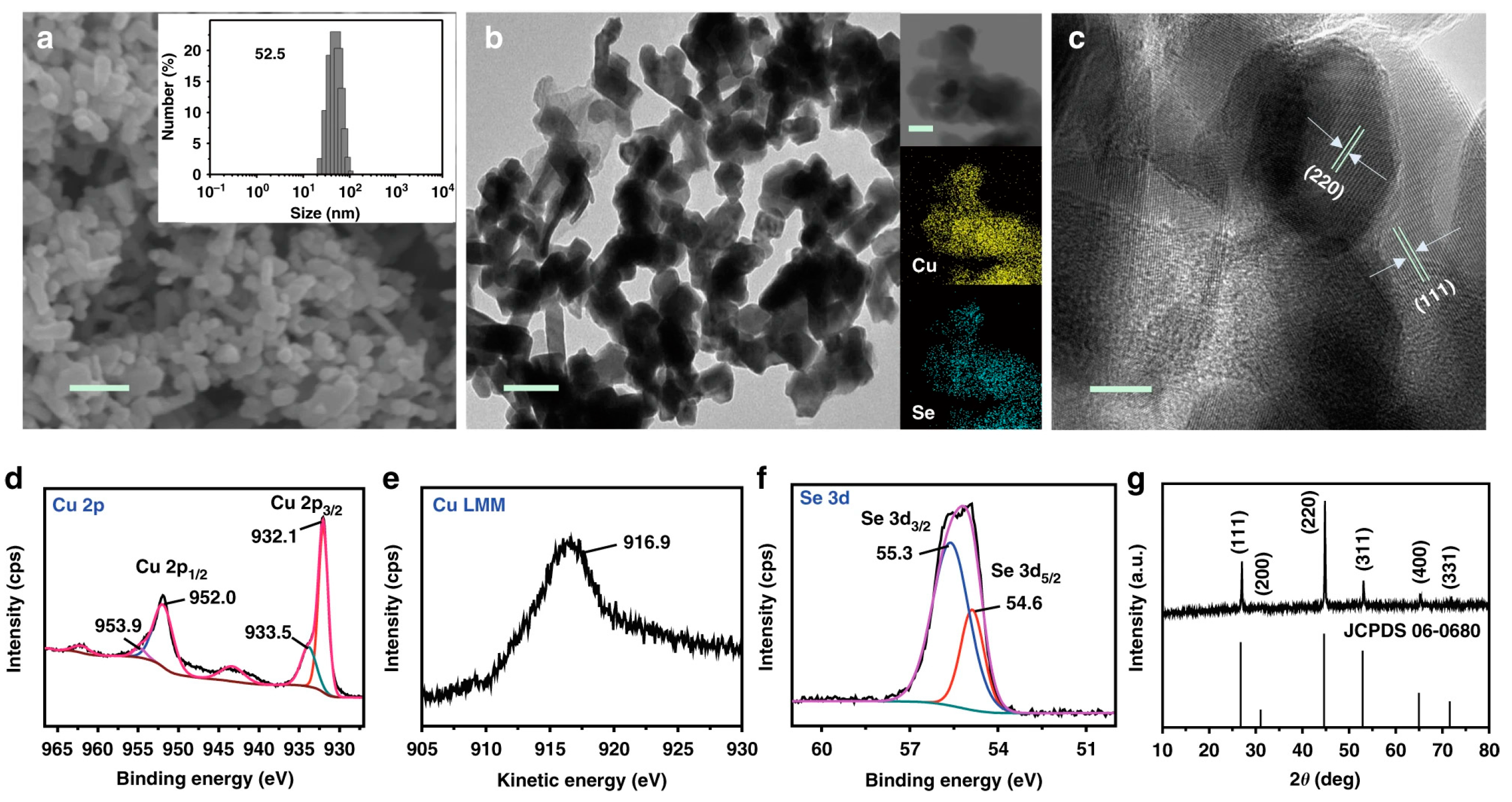 Nanomaterials 13 01723 g007