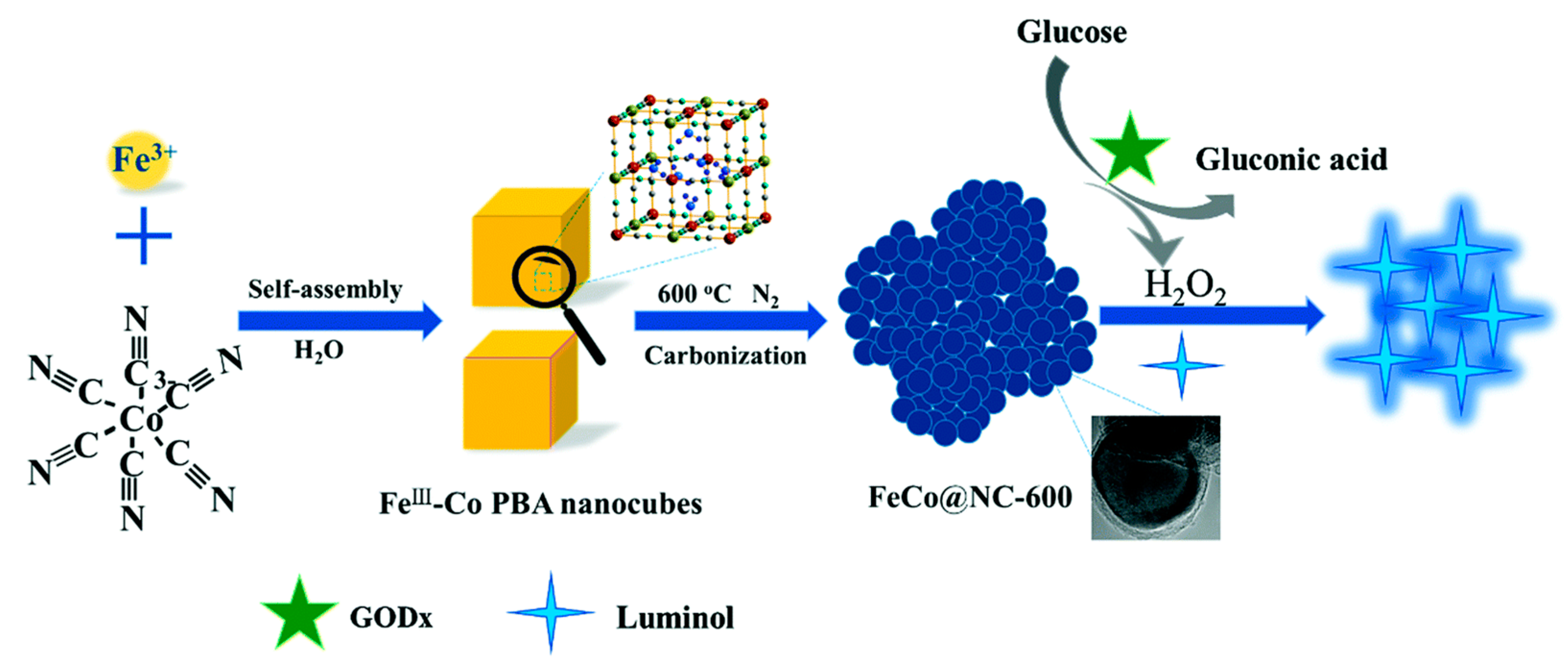 Nanomaterials 13 01726 g002