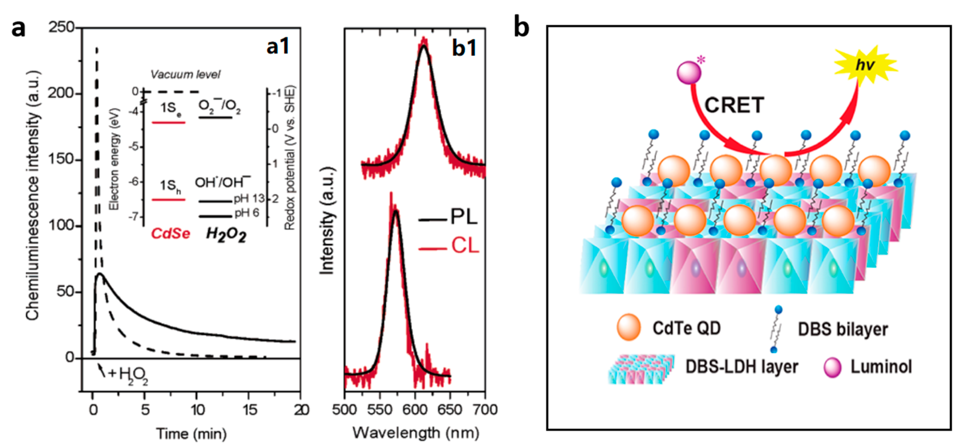 Nanomaterials 13 01726 g003