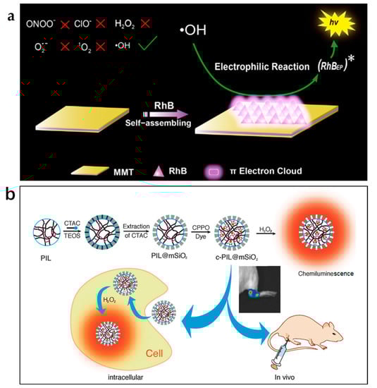 Nanomaterials 13 01726 g004