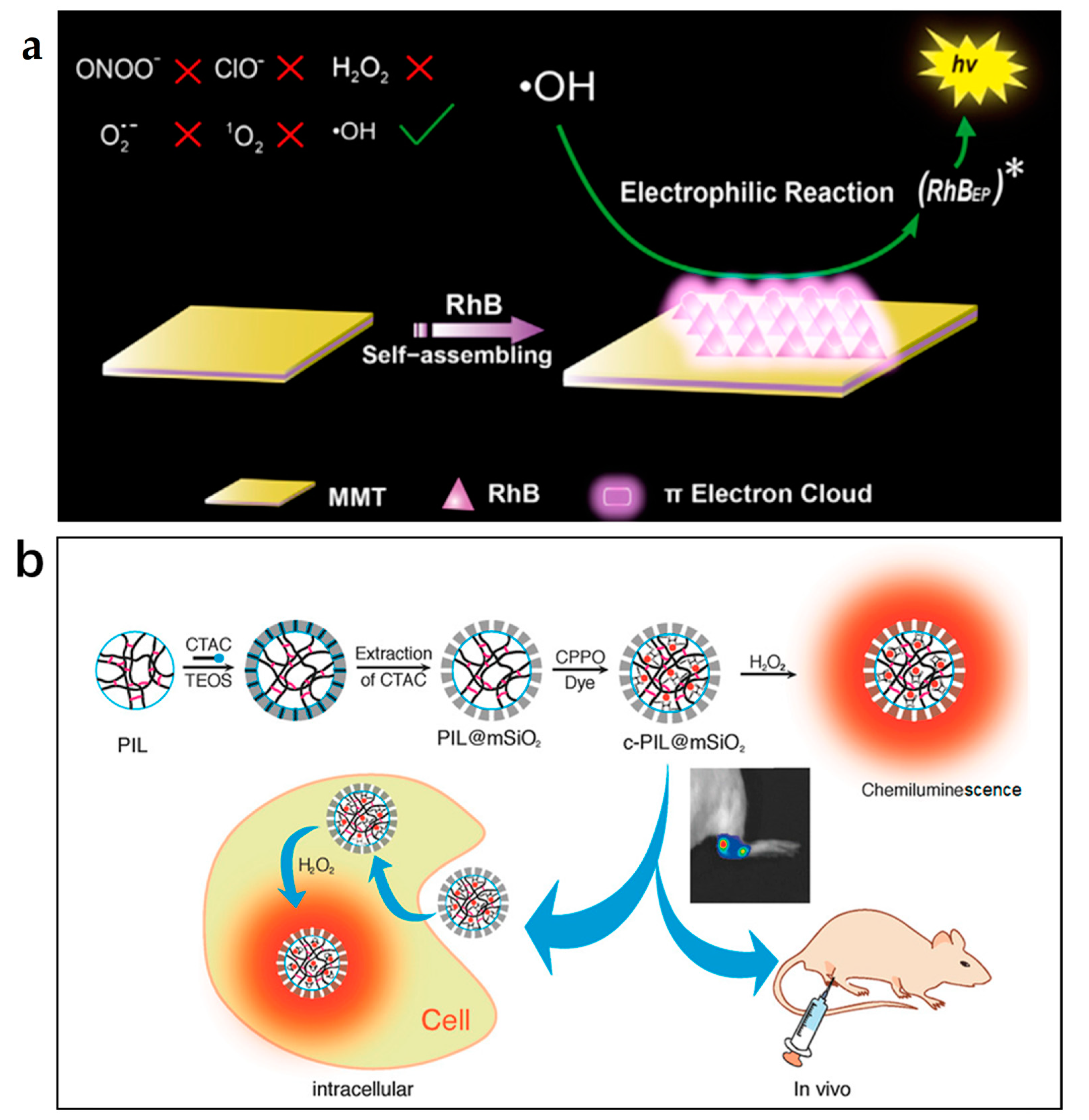 Nanomaterials 13 01726 g004