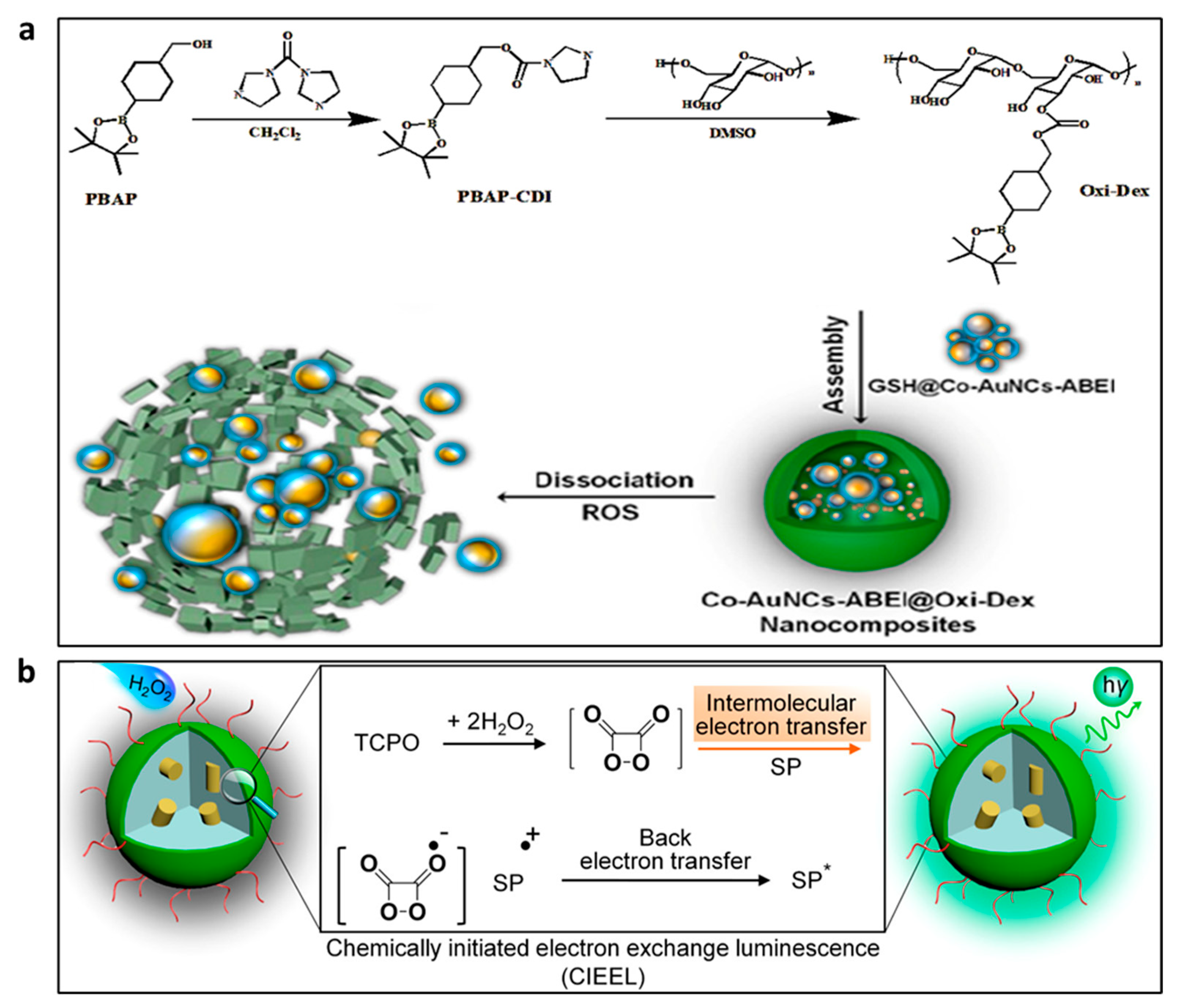 Nanomaterials 13 01726 g005
