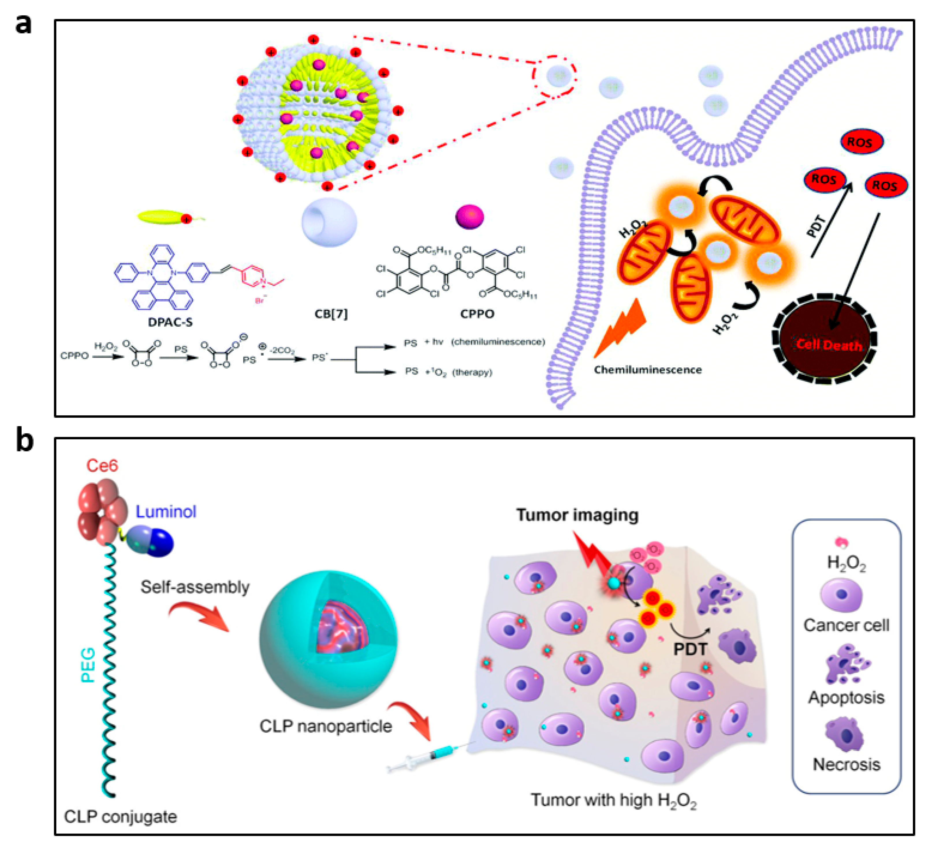 Nanomaterials 13 01726 g006