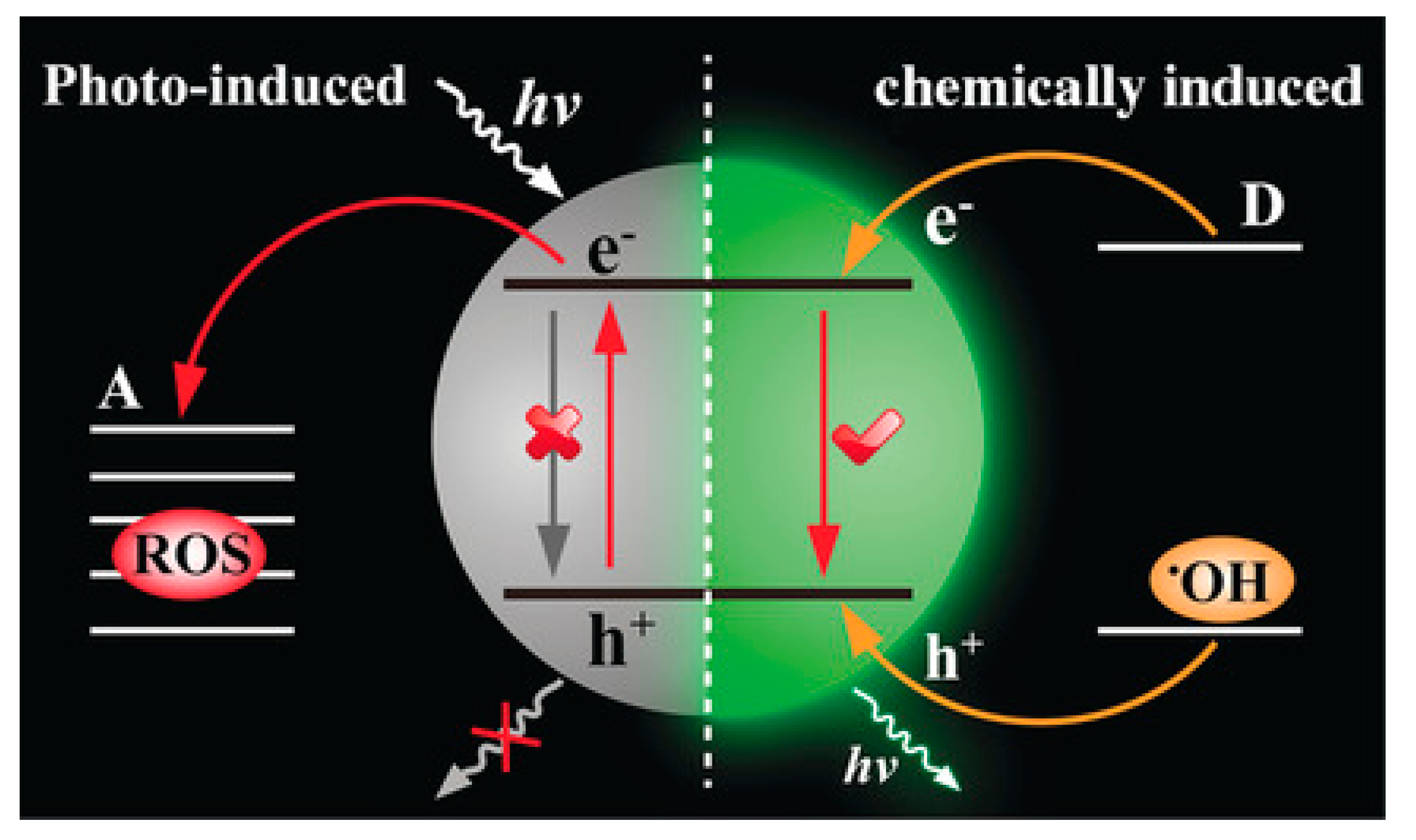 Nanomaterials 13 01726 g007