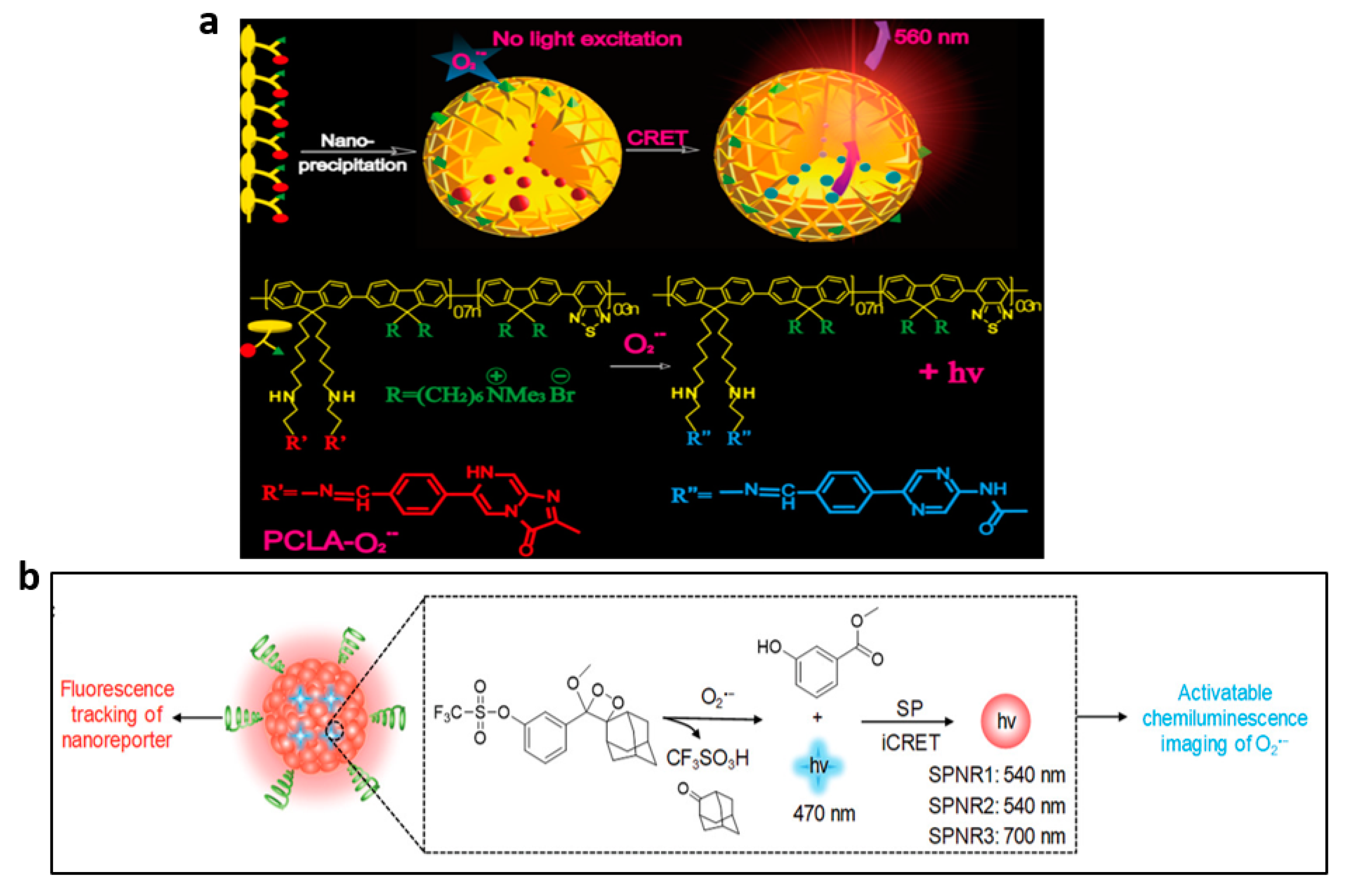 Nanomaterials 13 01726 g008