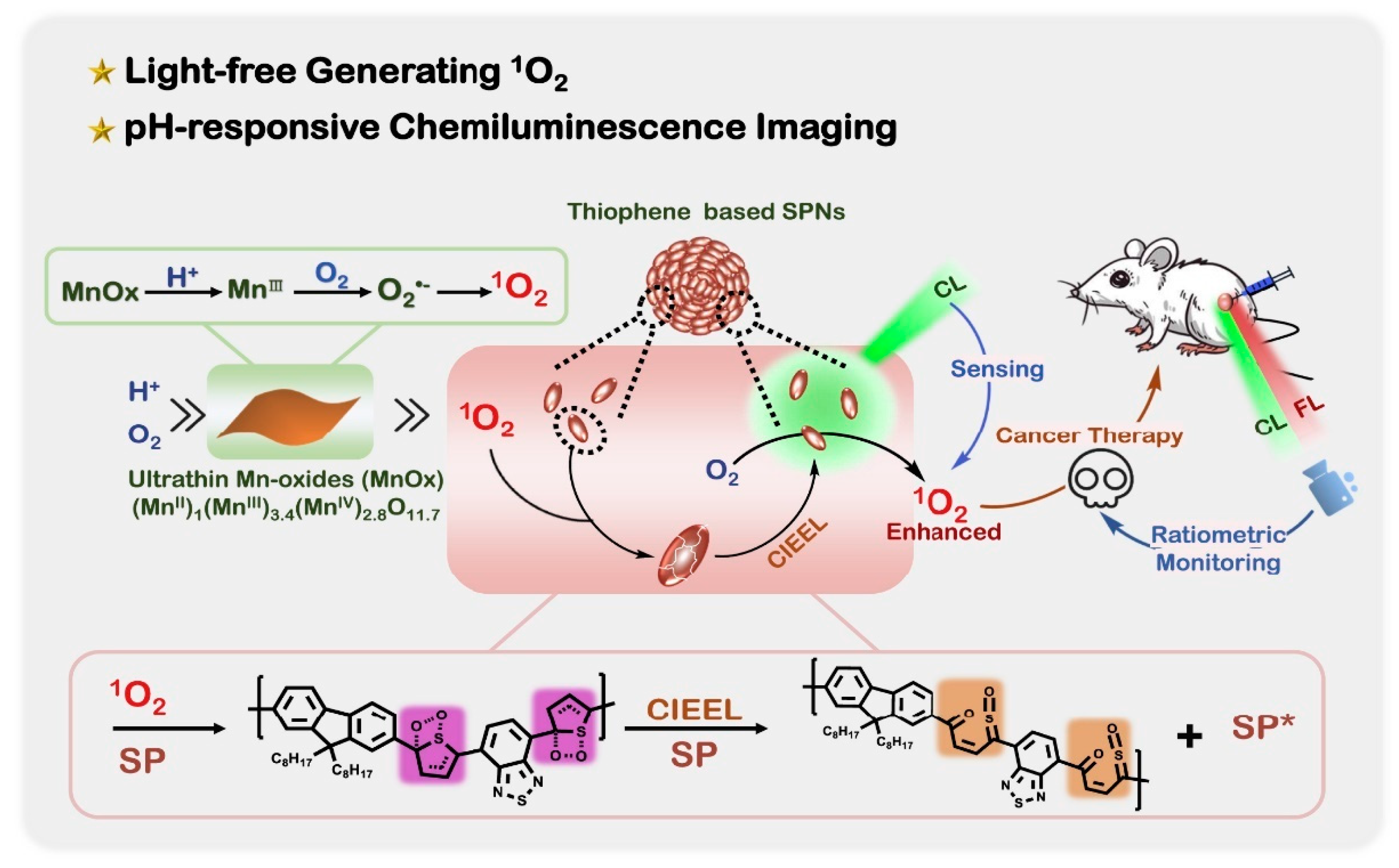 Nanomaterials 13 01726 g009