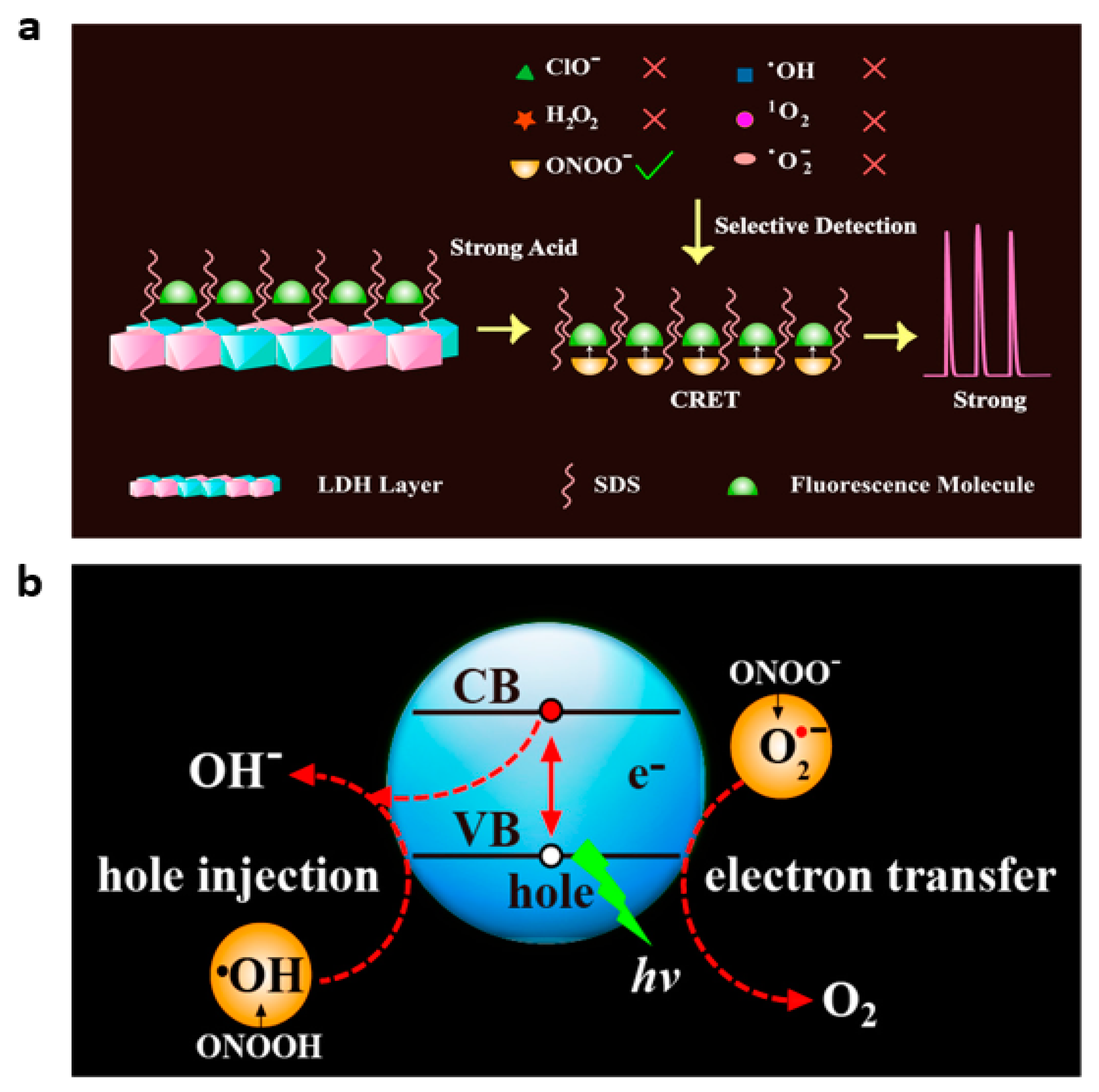 Nanomaterials 13 01726 g010