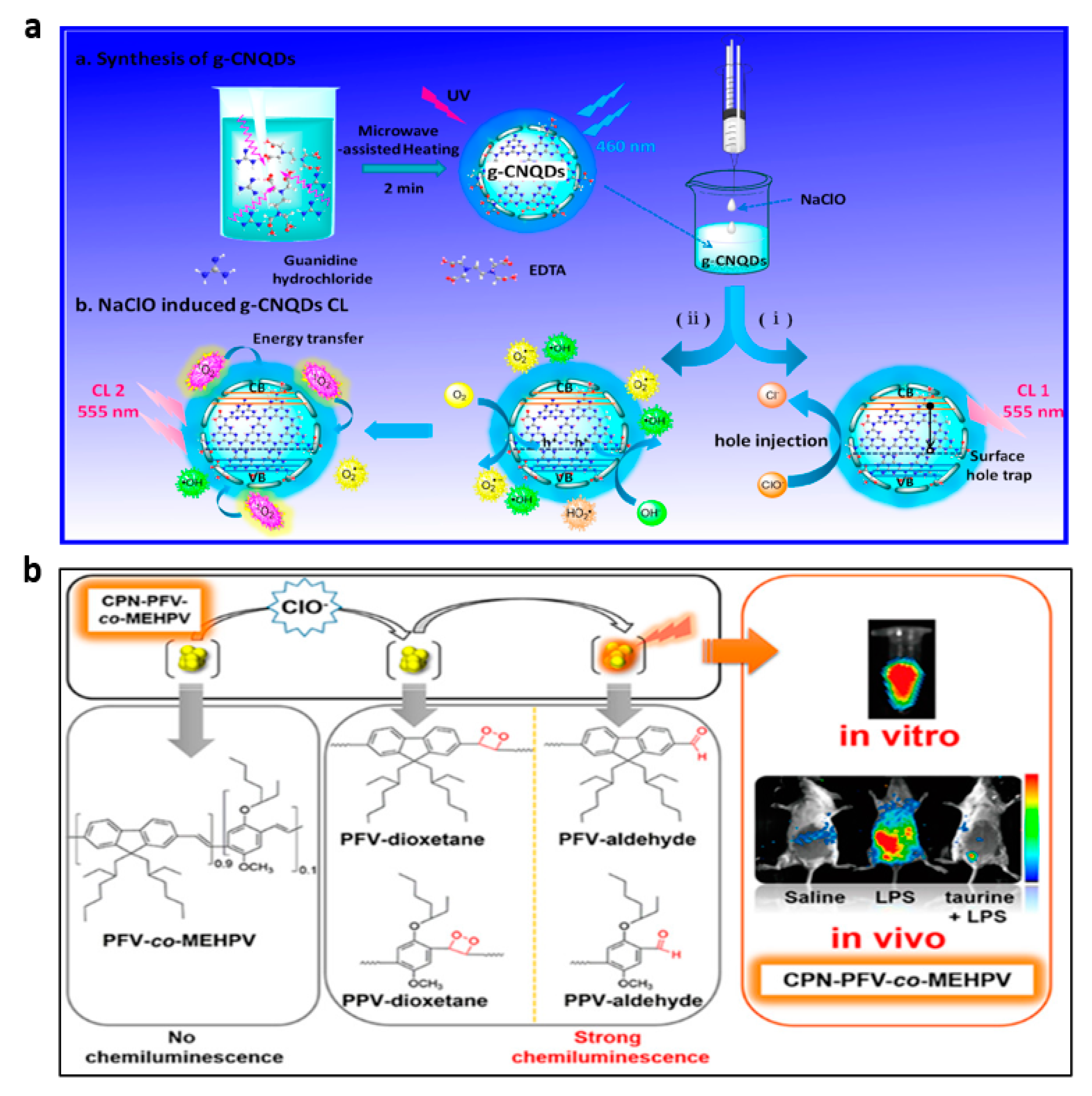 Nanomaterials 13 01726 g011