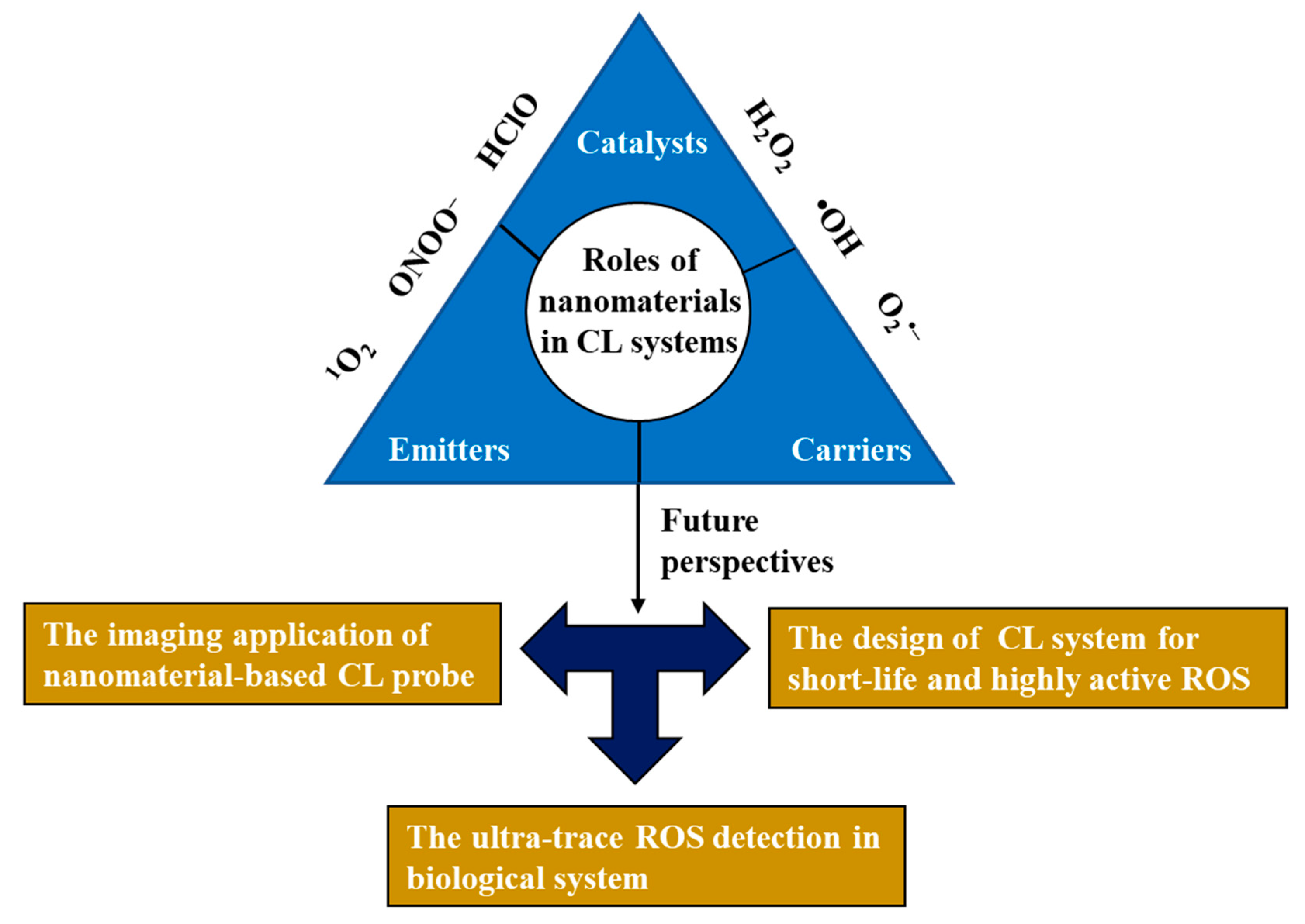 Nanomaterials 13 01726 g012