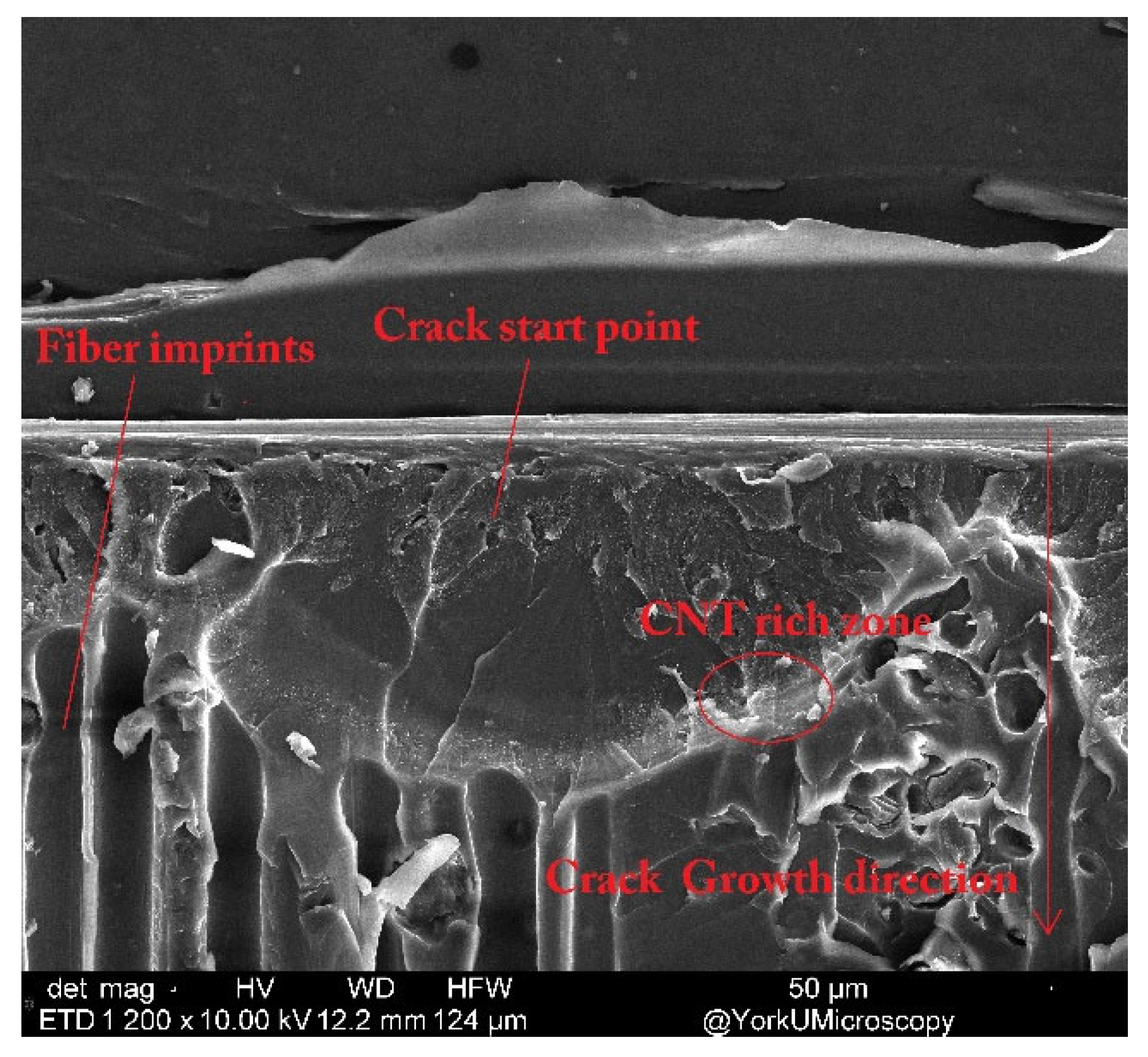Nanomaterials 13 01729 g014 Nanomaterials 13 01729 g014