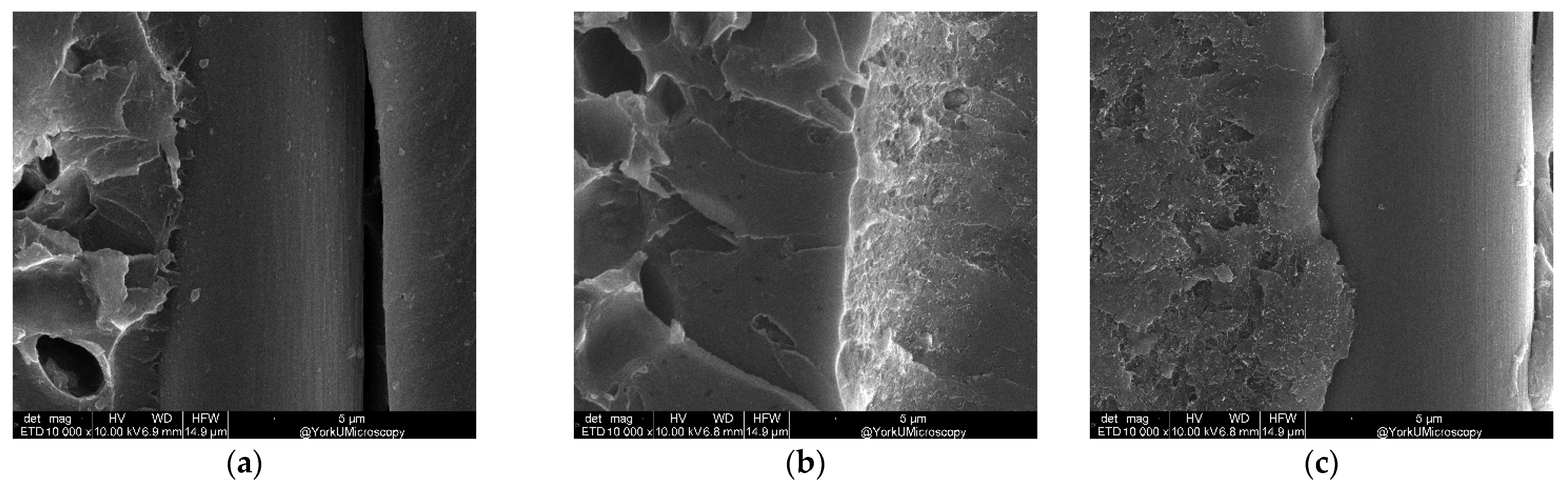Nanomaterials 13 01729 g017a Nanomaterials 13 01729 g017a