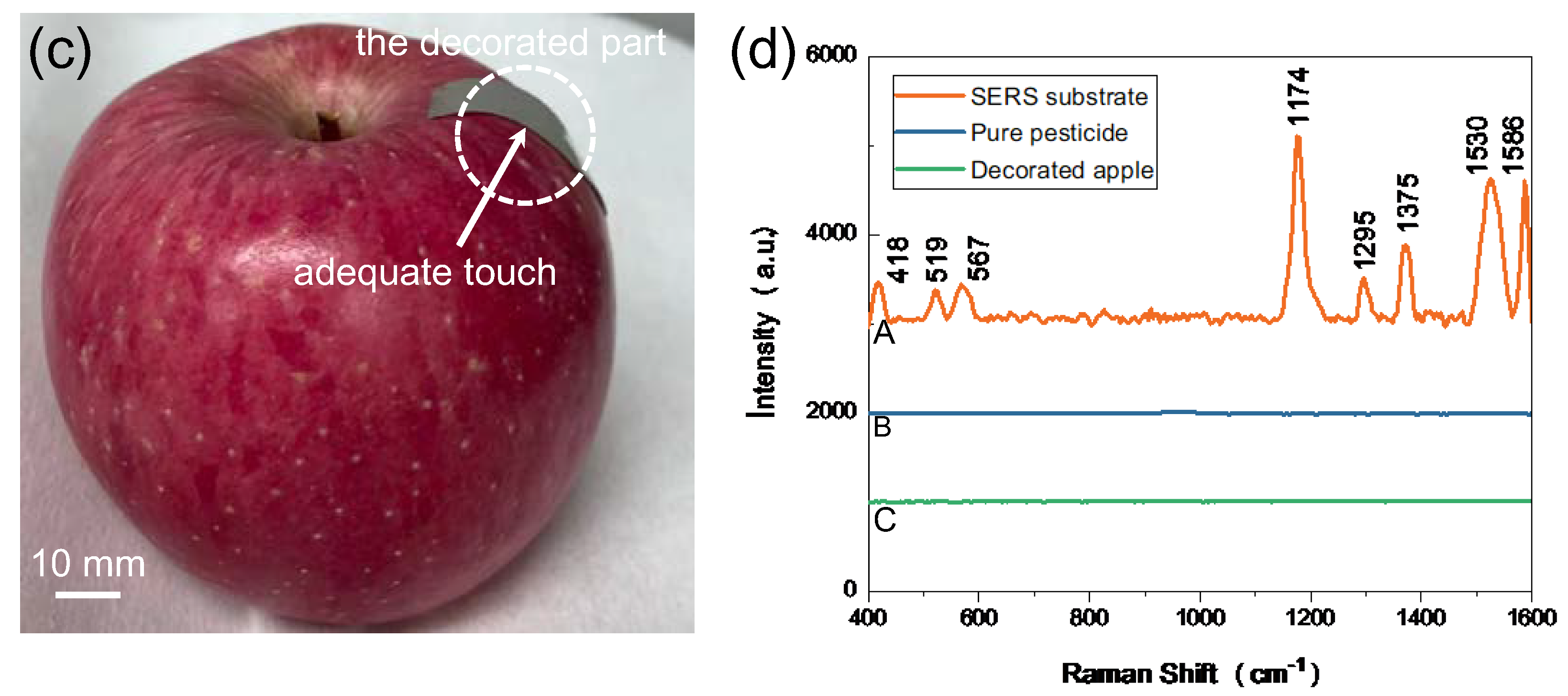 Nanomaterials 13 01733 g007b Nanomaterials 13 01733 g007b