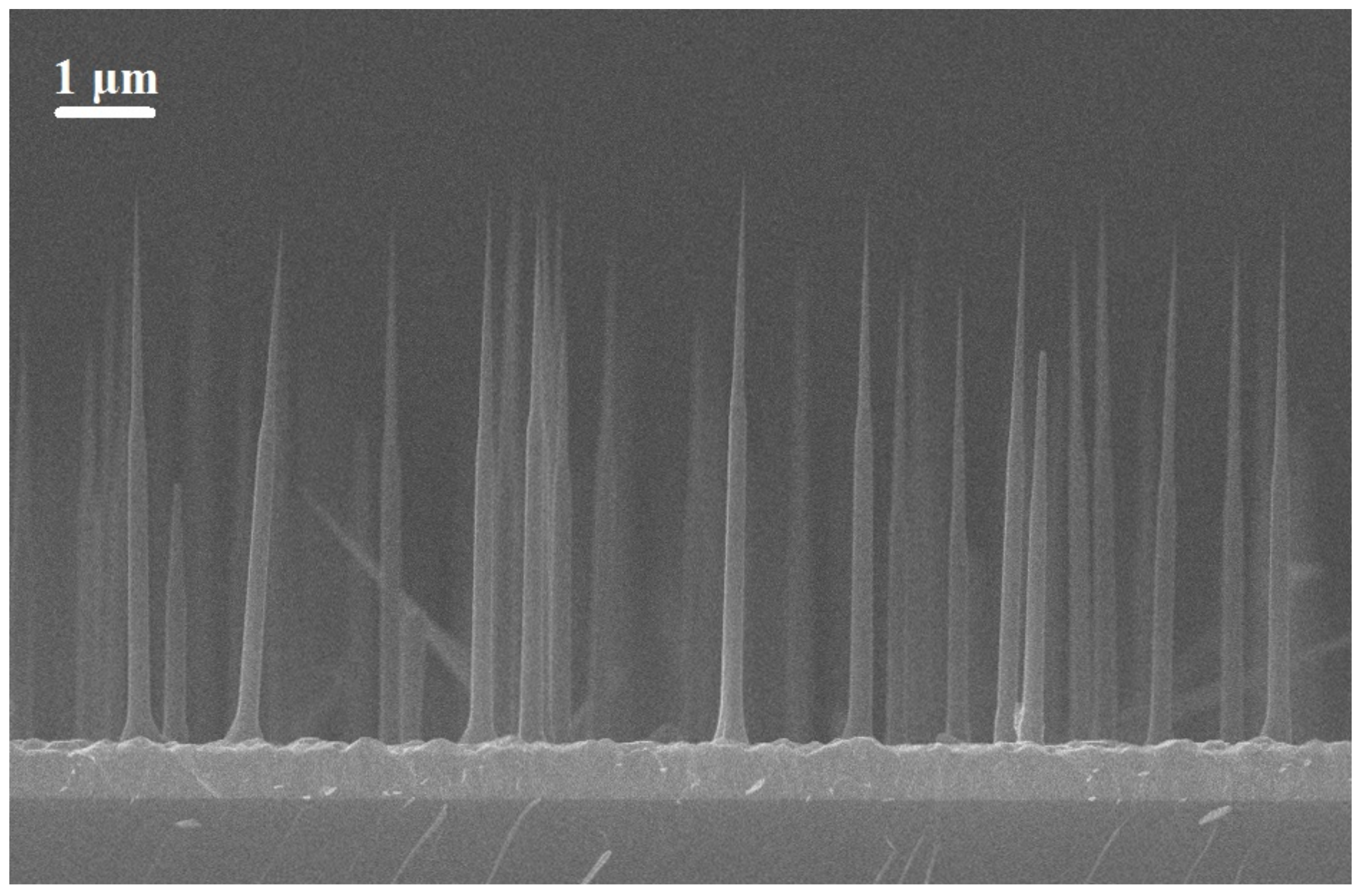 Nanomaterials 13 01737 g001 Nanomaterials 13 01737 g001