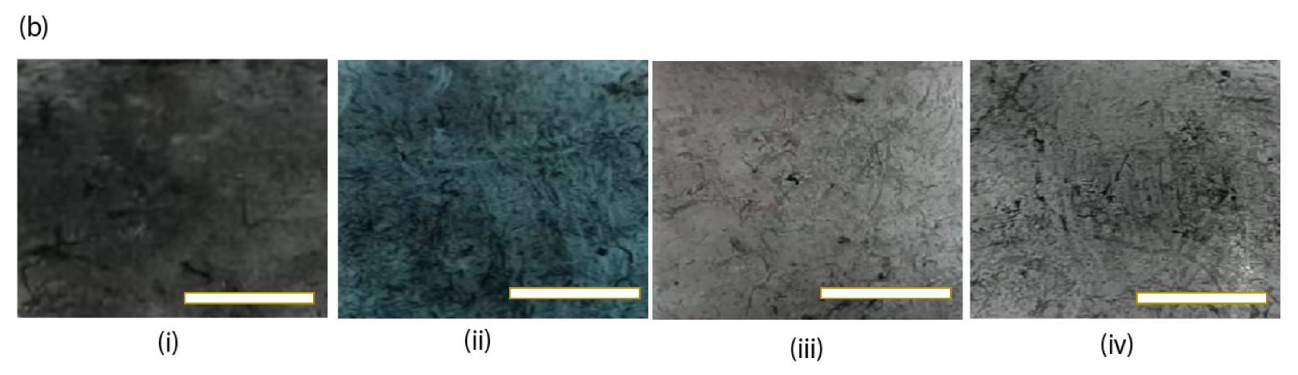 Nanomaterials 13 01749 g002b