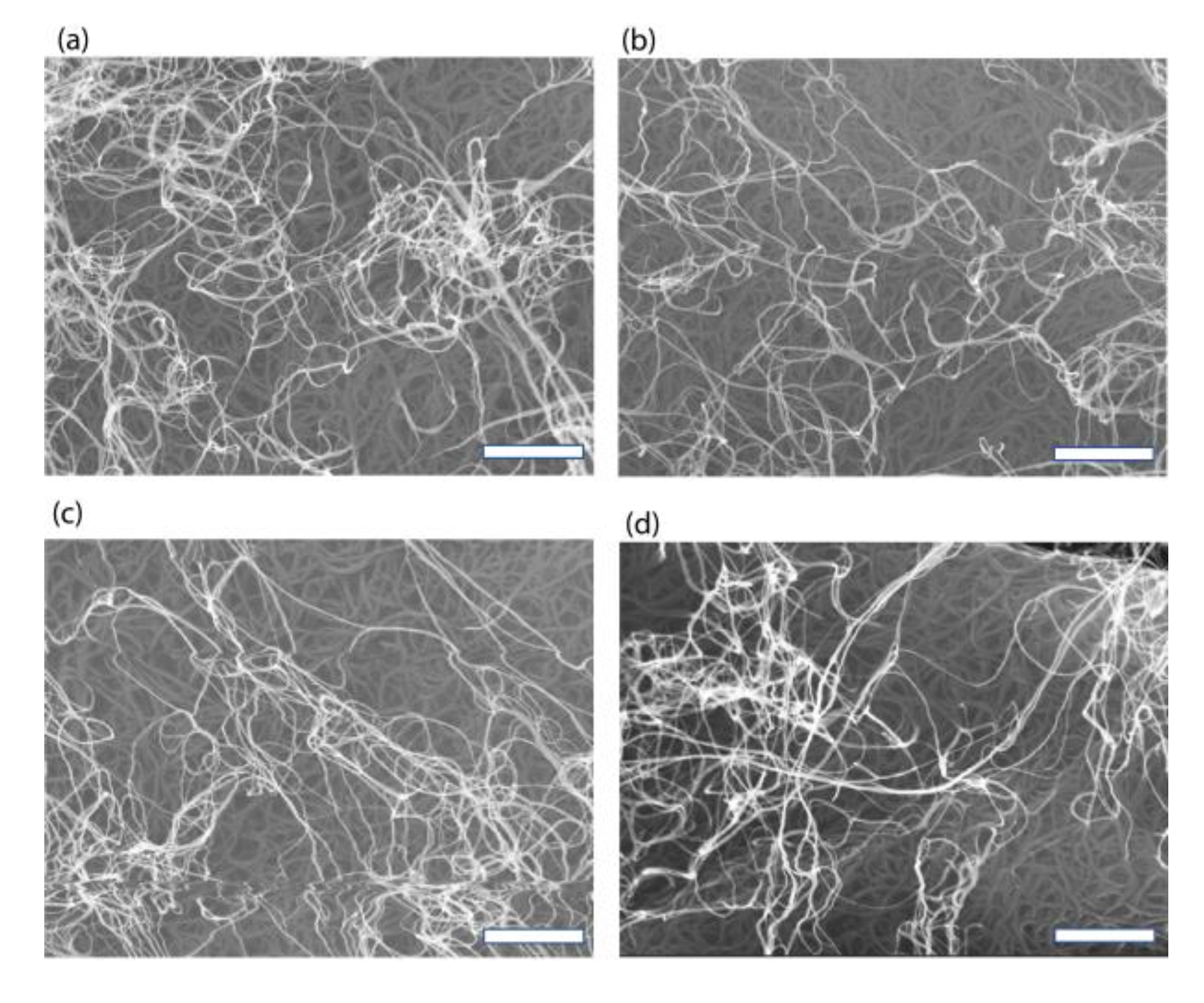 Nanomaterials 13 01749 g003a
