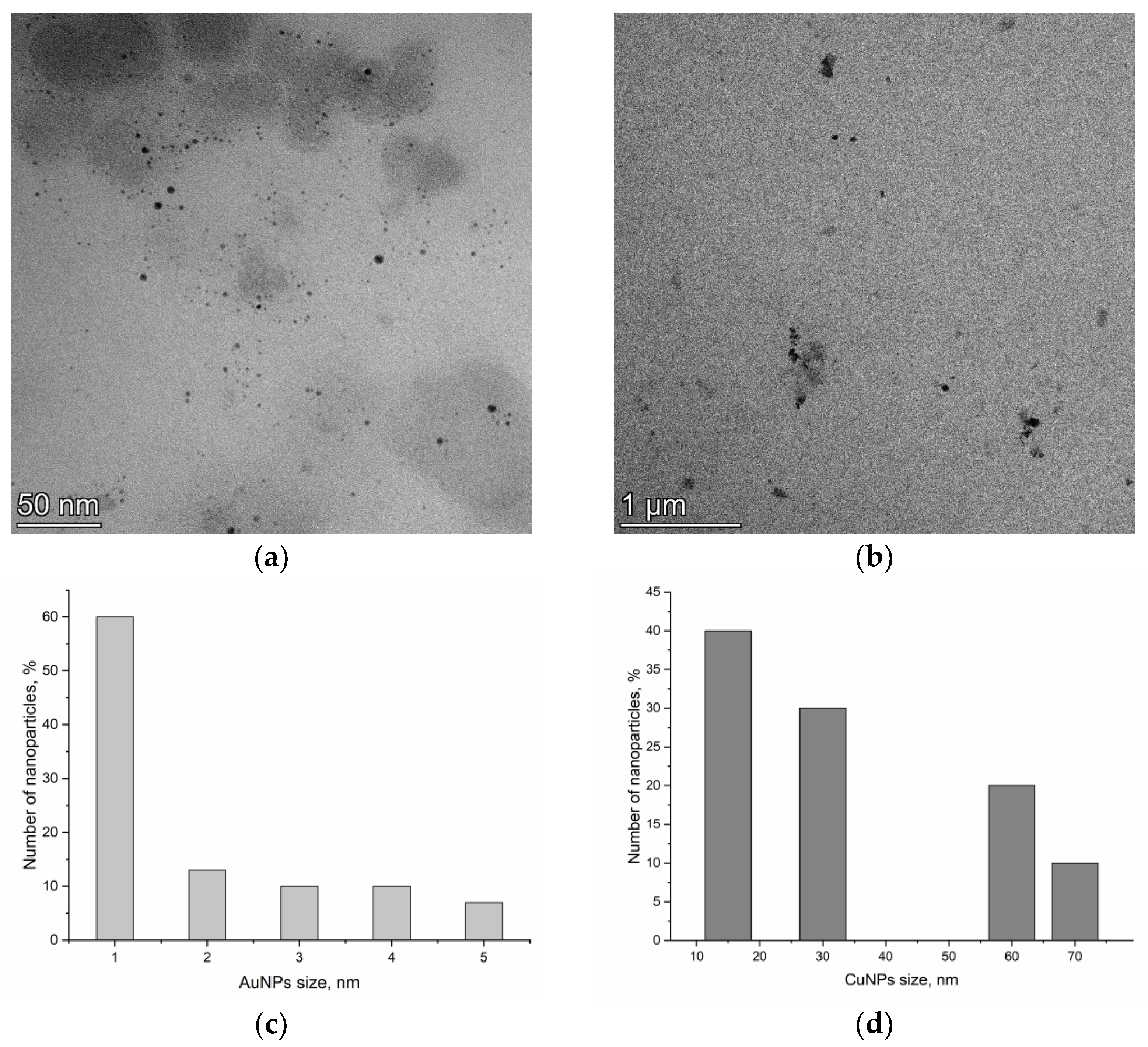 Nanomaterials 13 01754 g001