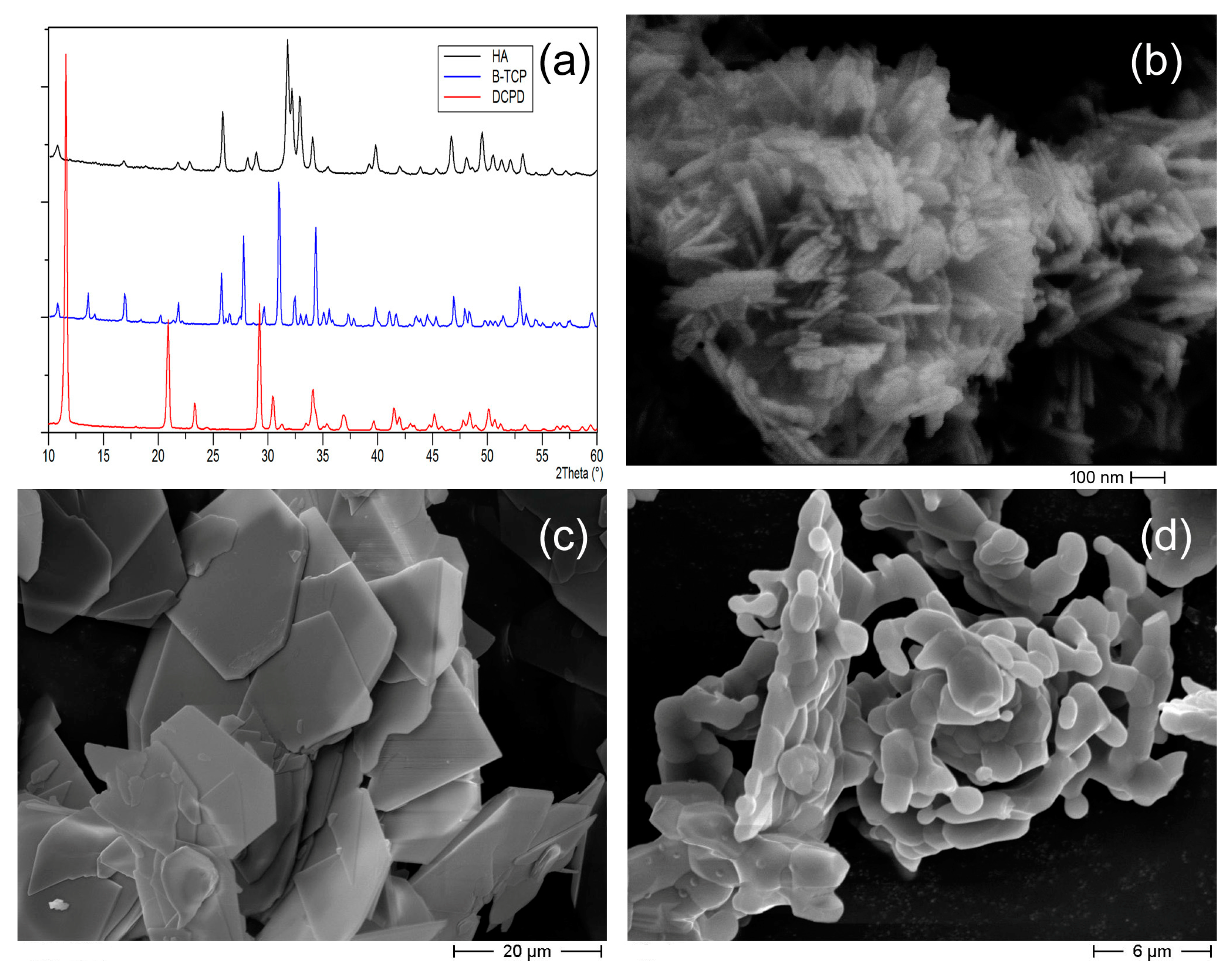 Nanomaterials 13 01758 g001
