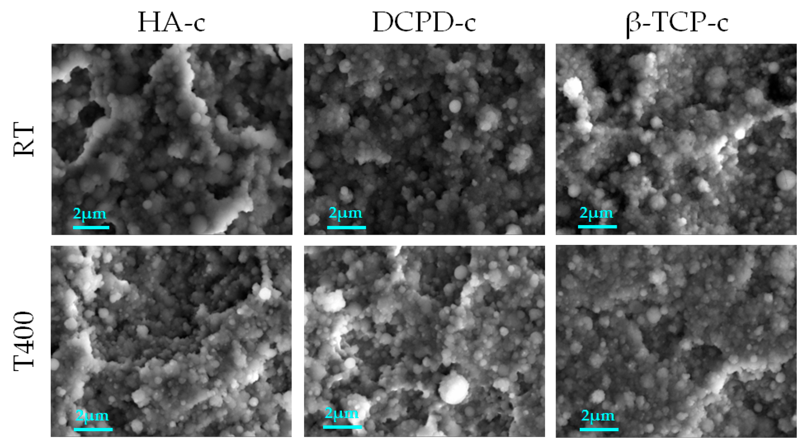 Nanomaterials 13 01758 g005