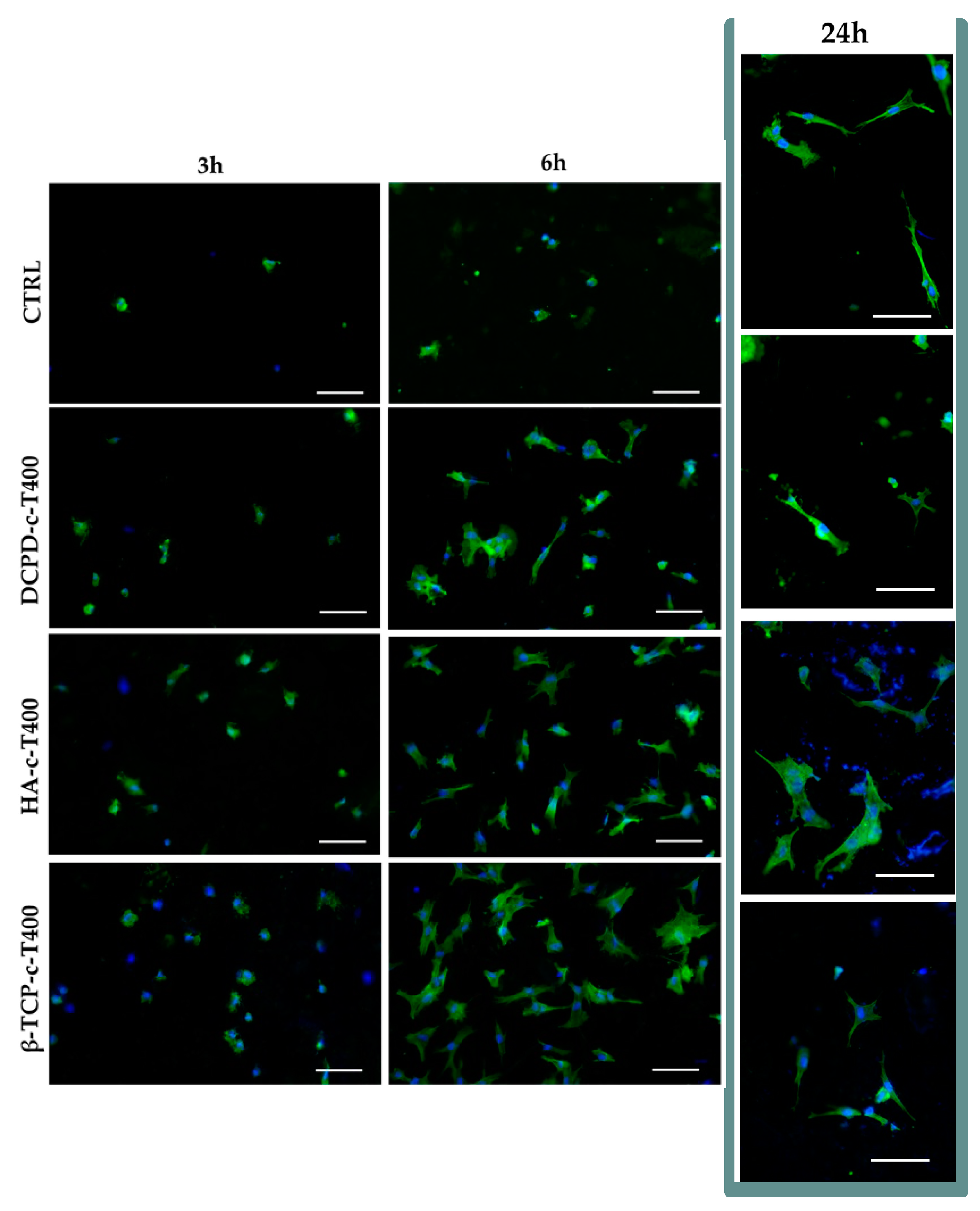 Nanomaterials 13 01758 g011
